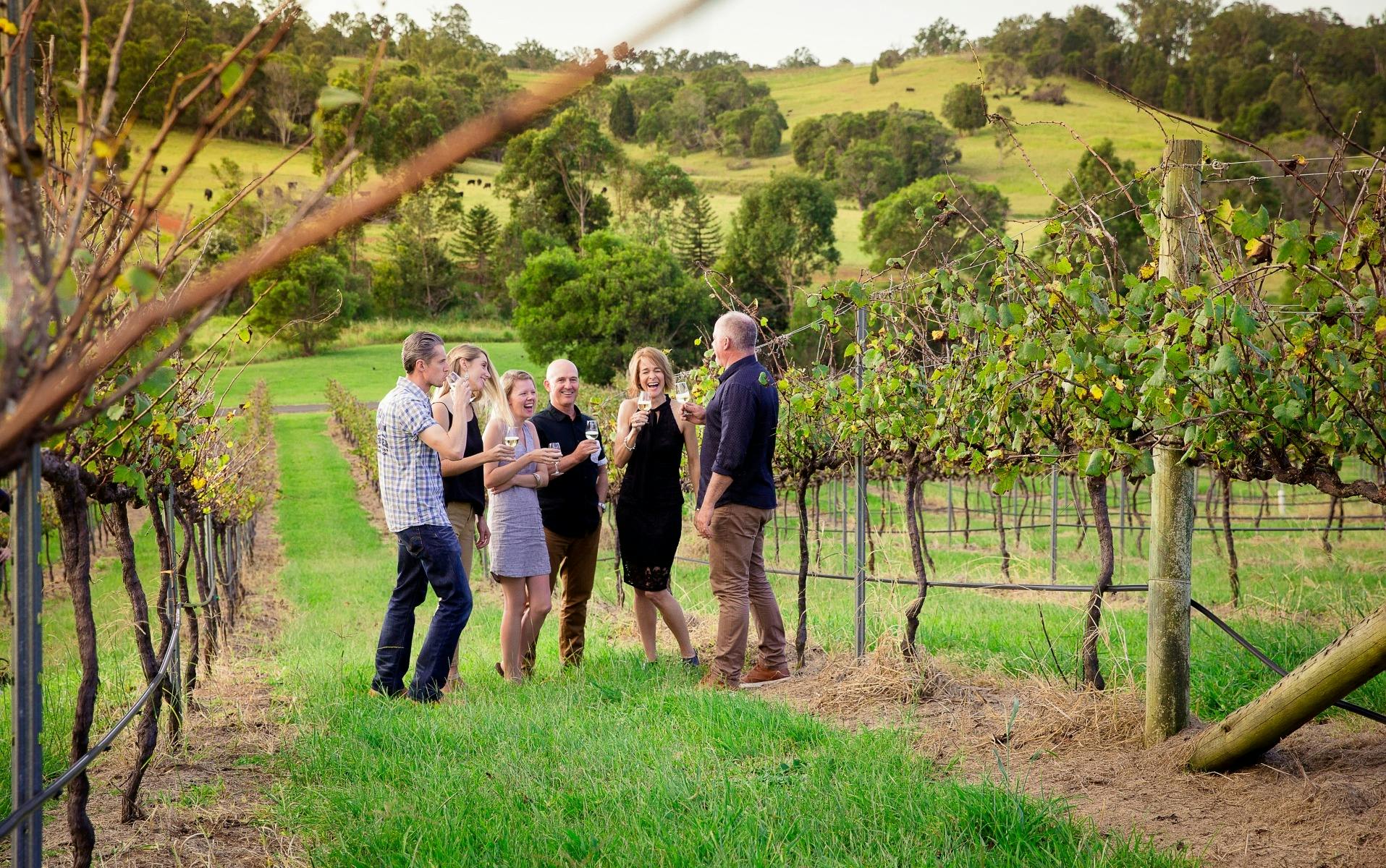Walk through the vineyard with our winemakers