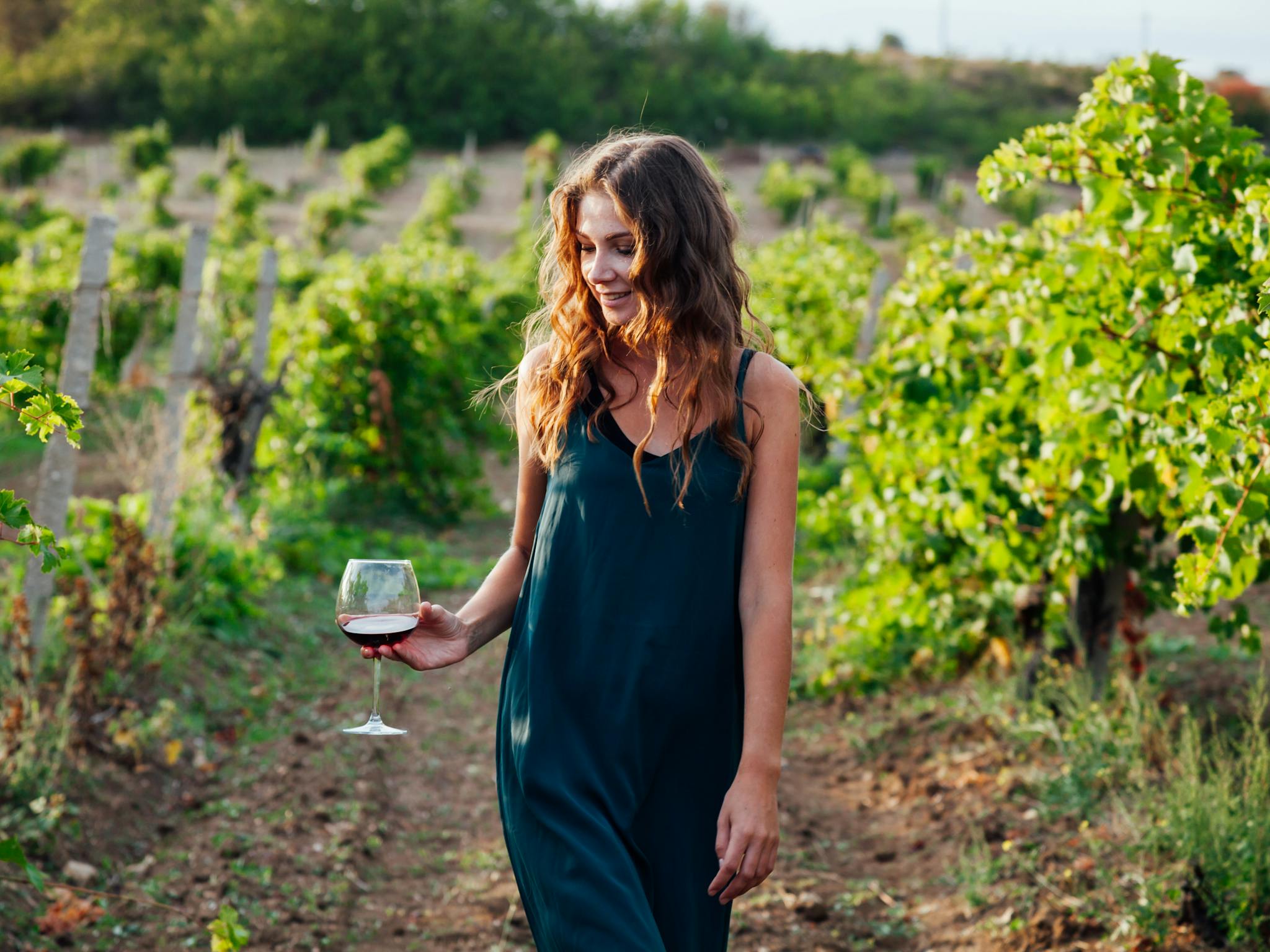 Enjoying a glass of wine strolling in the vineyard Enjoying a glass of wine strolling in the vineyard