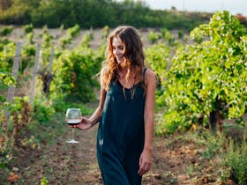 Wine Discovery Tours
