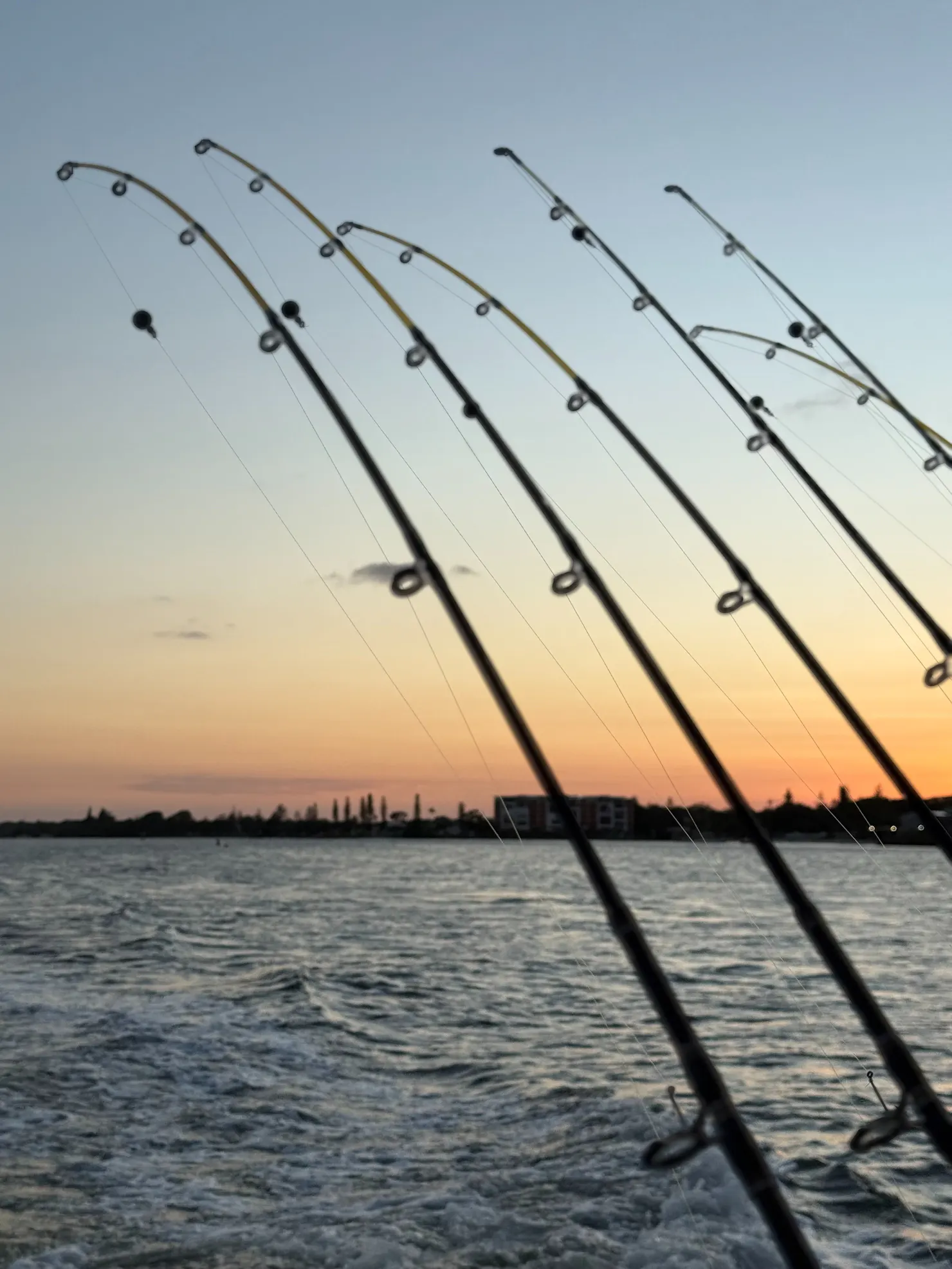 fishing rods on back of boat at sunset in caloundra onboard caloundra charter company