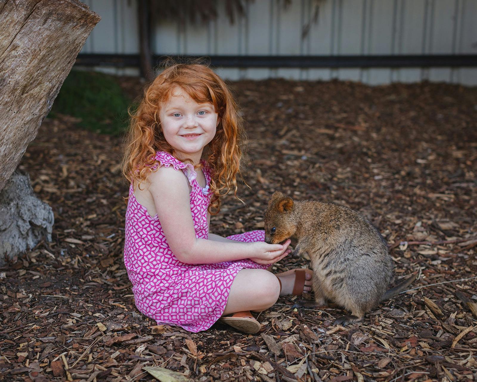 호주 야생동물 보호구역