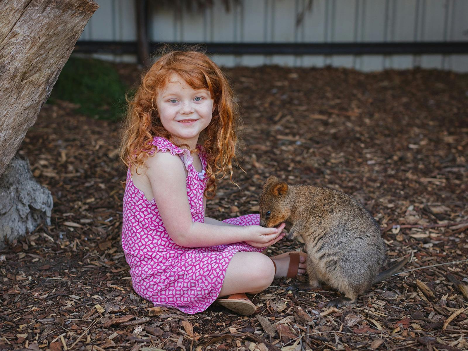 호주 야생동물 보호구역