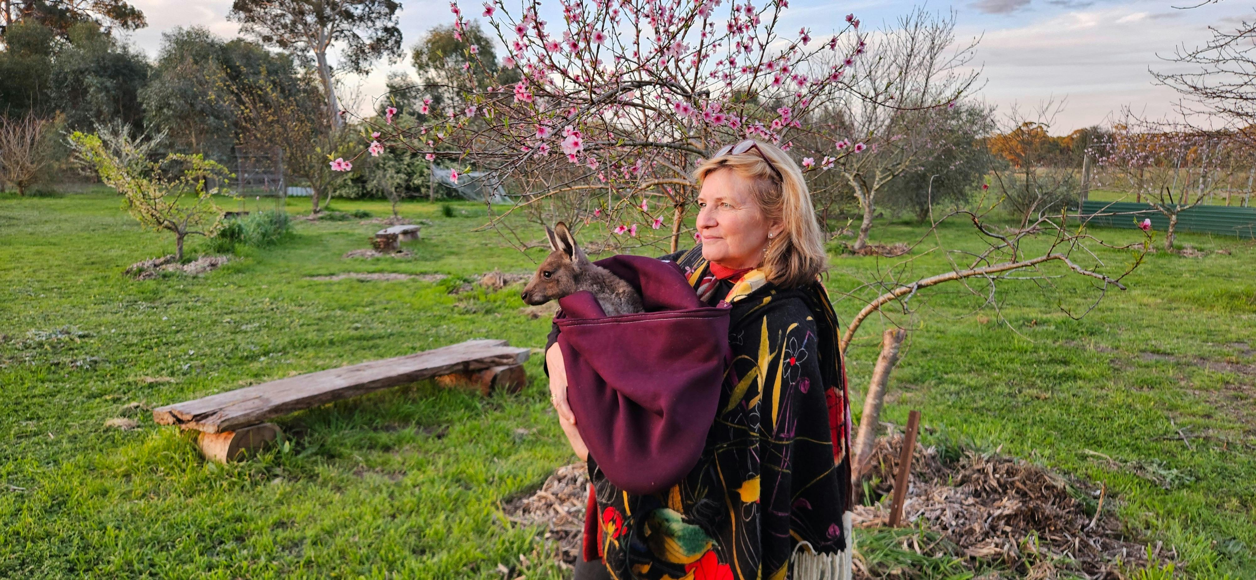 Caves, Cabernet & Kangaroos Full-Day Tour With Lunch