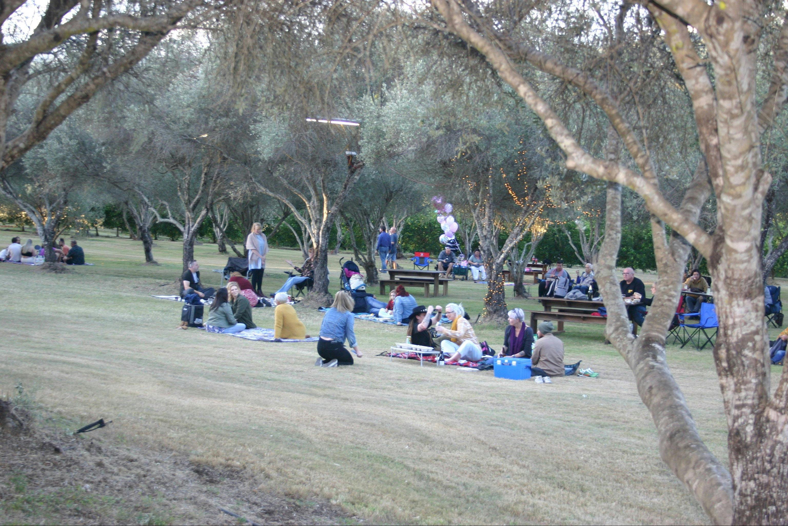 Watercress Creek Olive Festival
