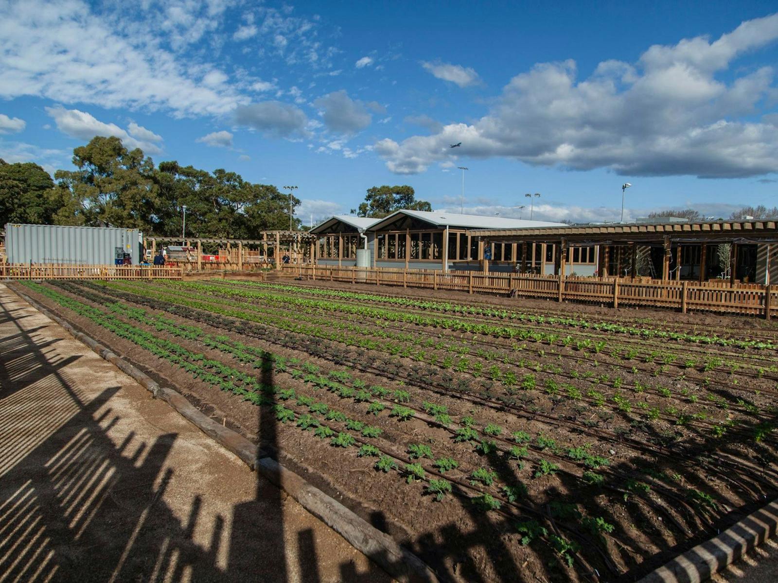 Camperdown Commons
