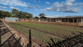 Camperdown Commons