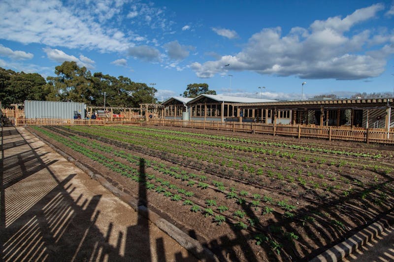 Camperdown Commons Sydney, Australia Official Travel