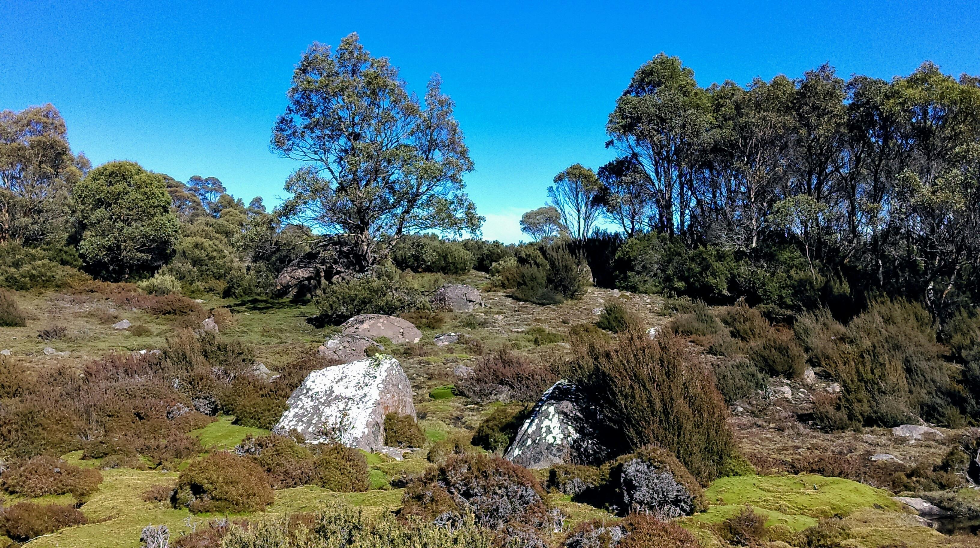 Walls of Jerusalem National Park