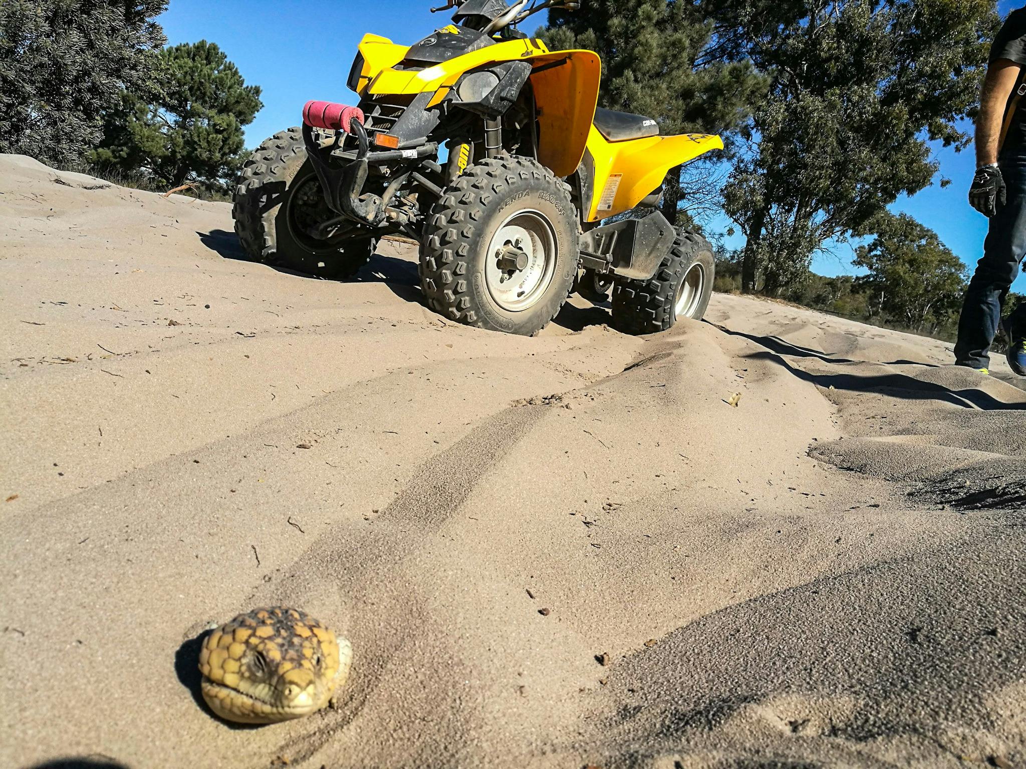 Perth Quad, Nowergup, Western Australia