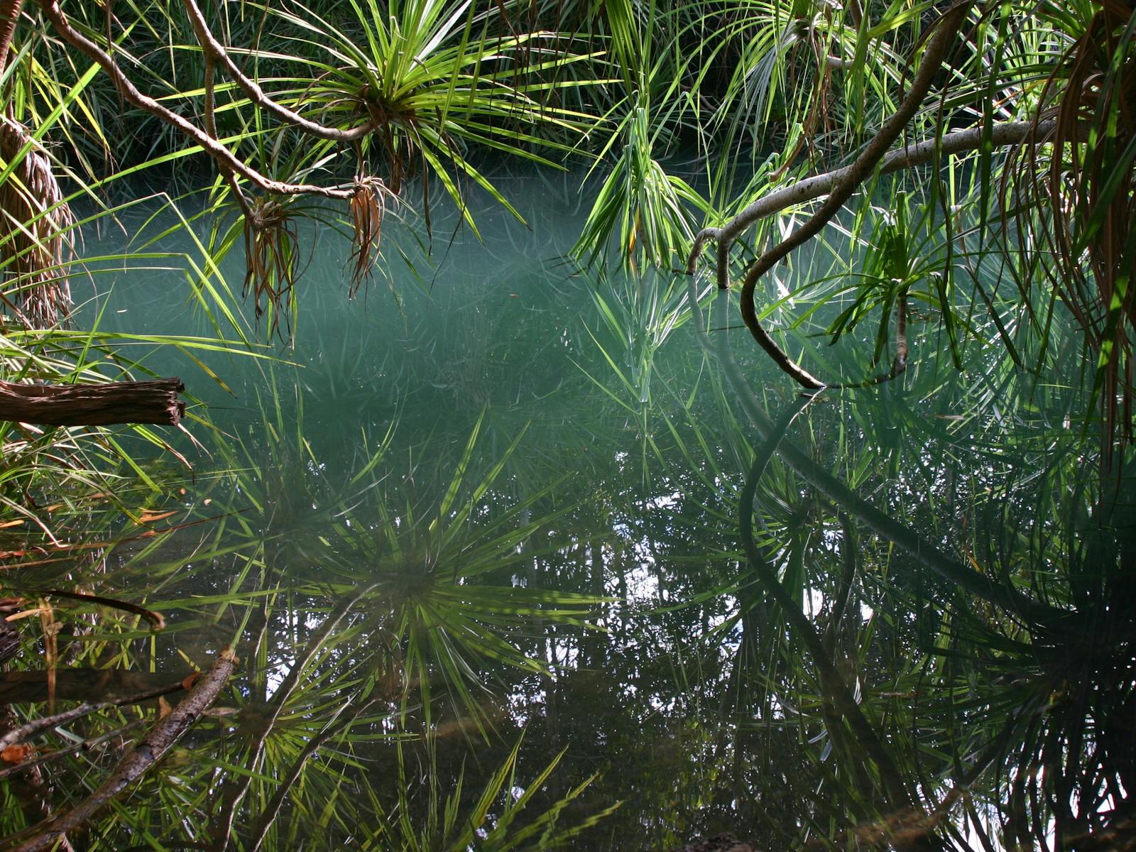Howard Springs Nature Park