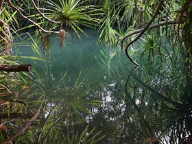 Howard Springs Nature Park
