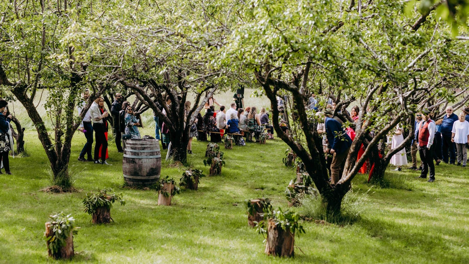 Wedding in the Pear Orchard