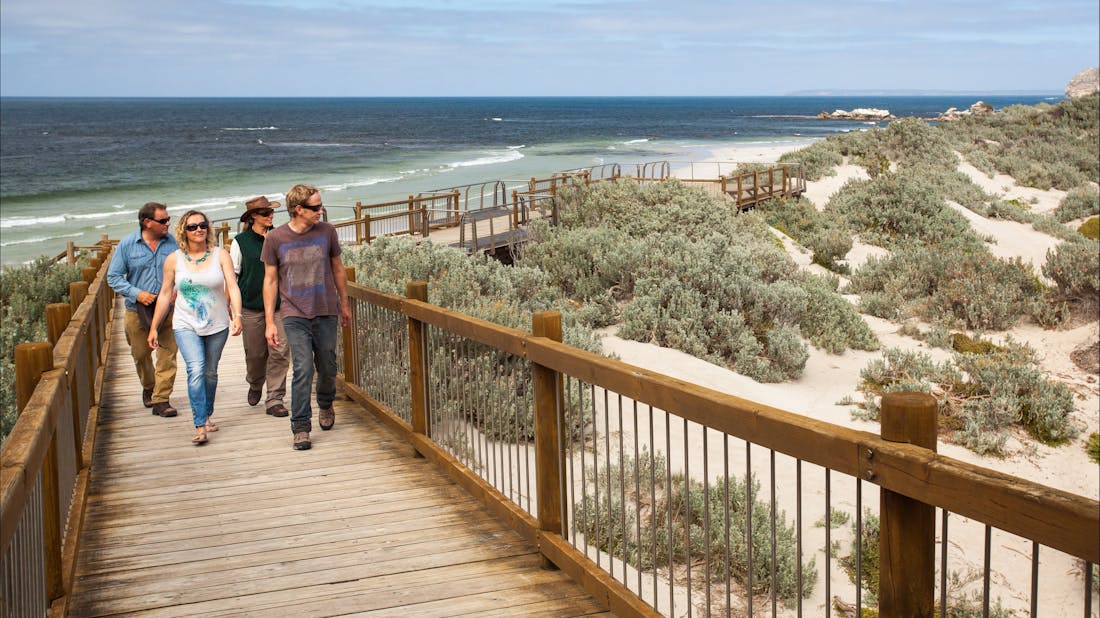 Seal Bay Boardwalk Tour - Seal Bay, Tour | South Australia