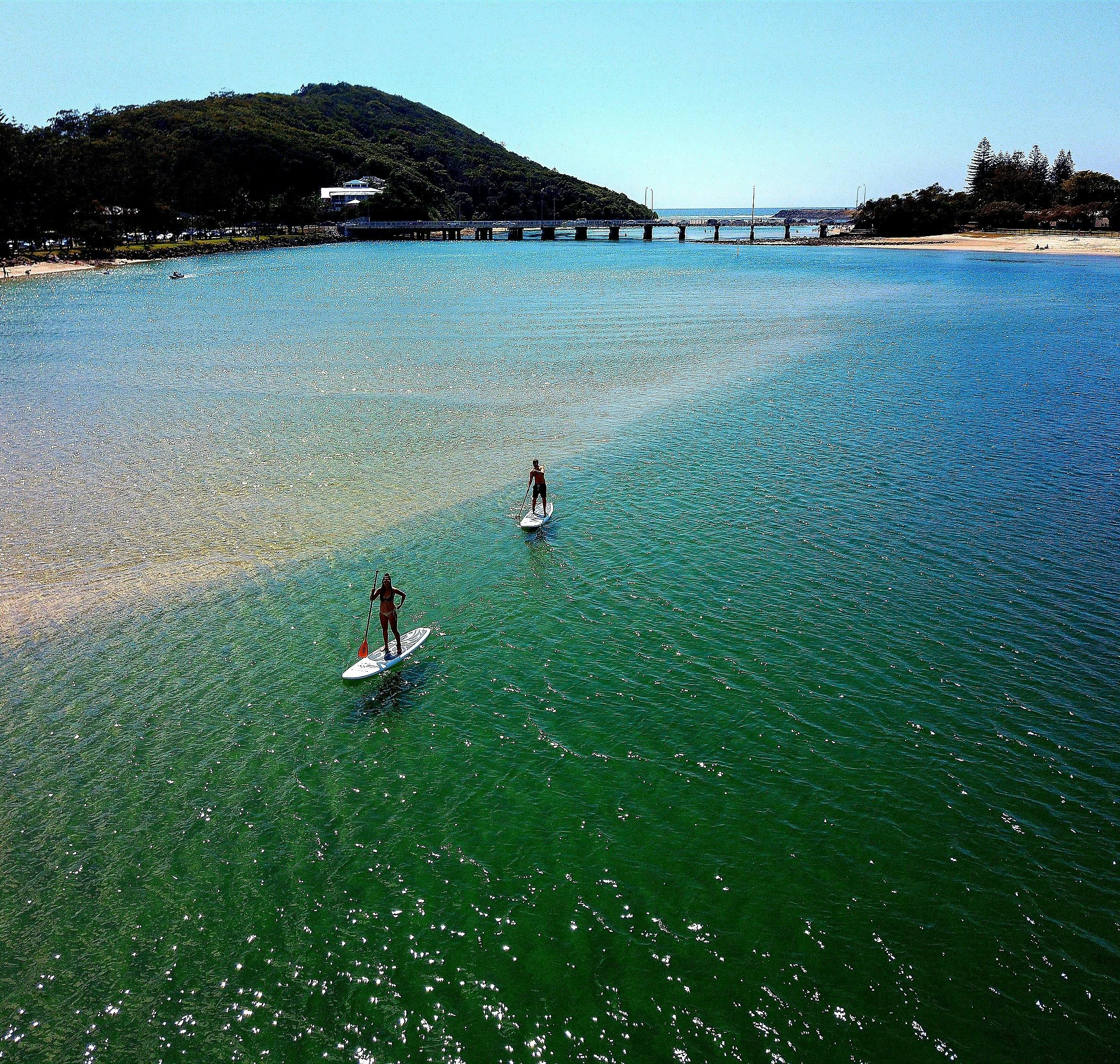 Explore Tallebudgera Creek on a Paddle Board. A Great Way to Experience the Natural Surroundings