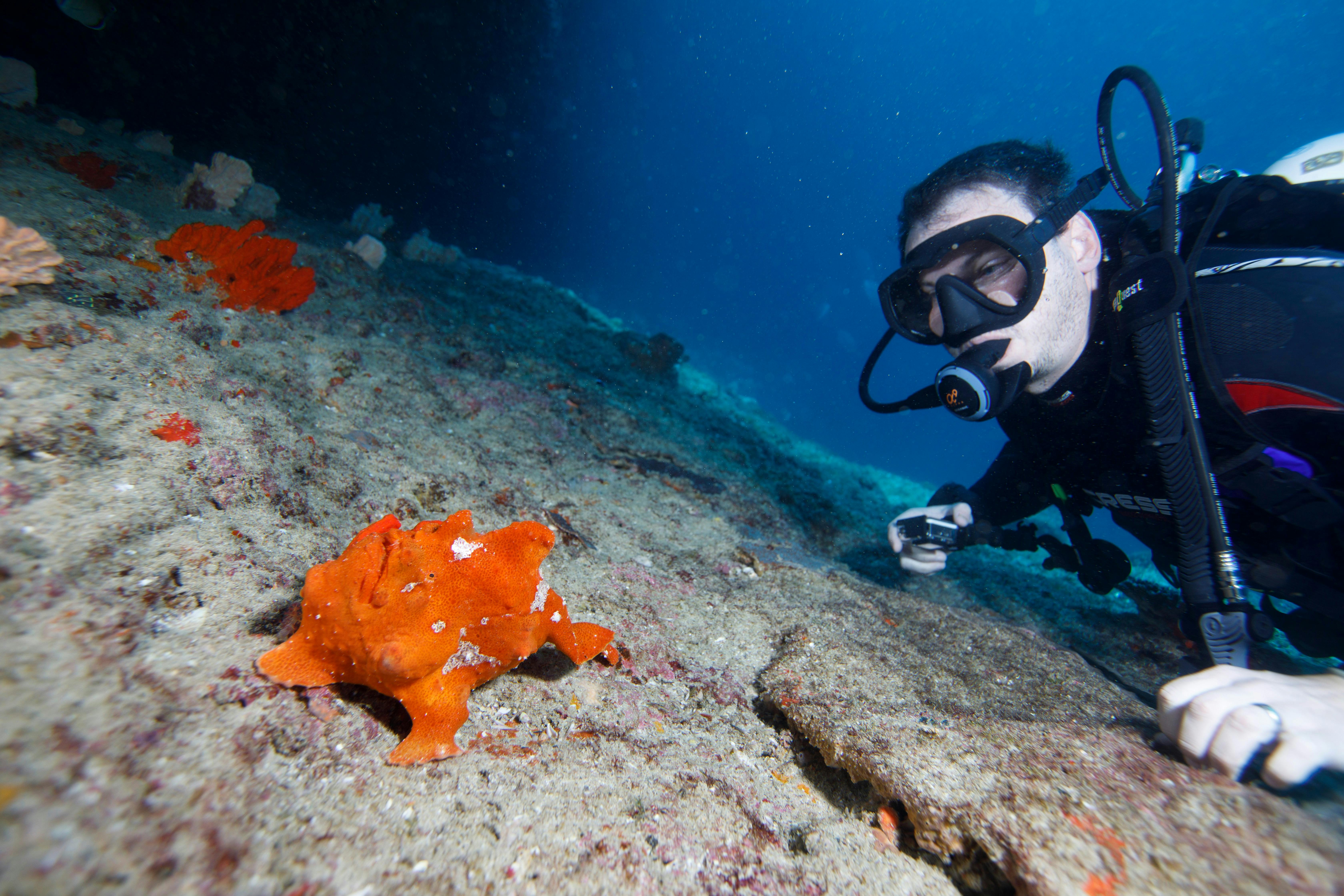 Shark Bay Dive and Marine Safaris, Shark Bay, Western Australia