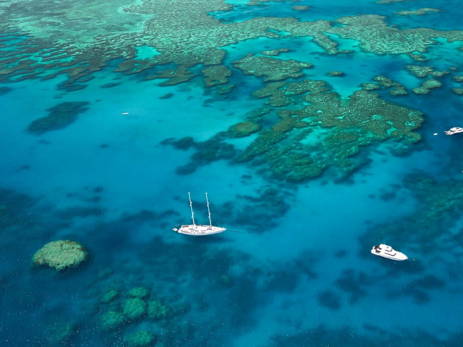 The world’s largest reef — and you’re floating above it.