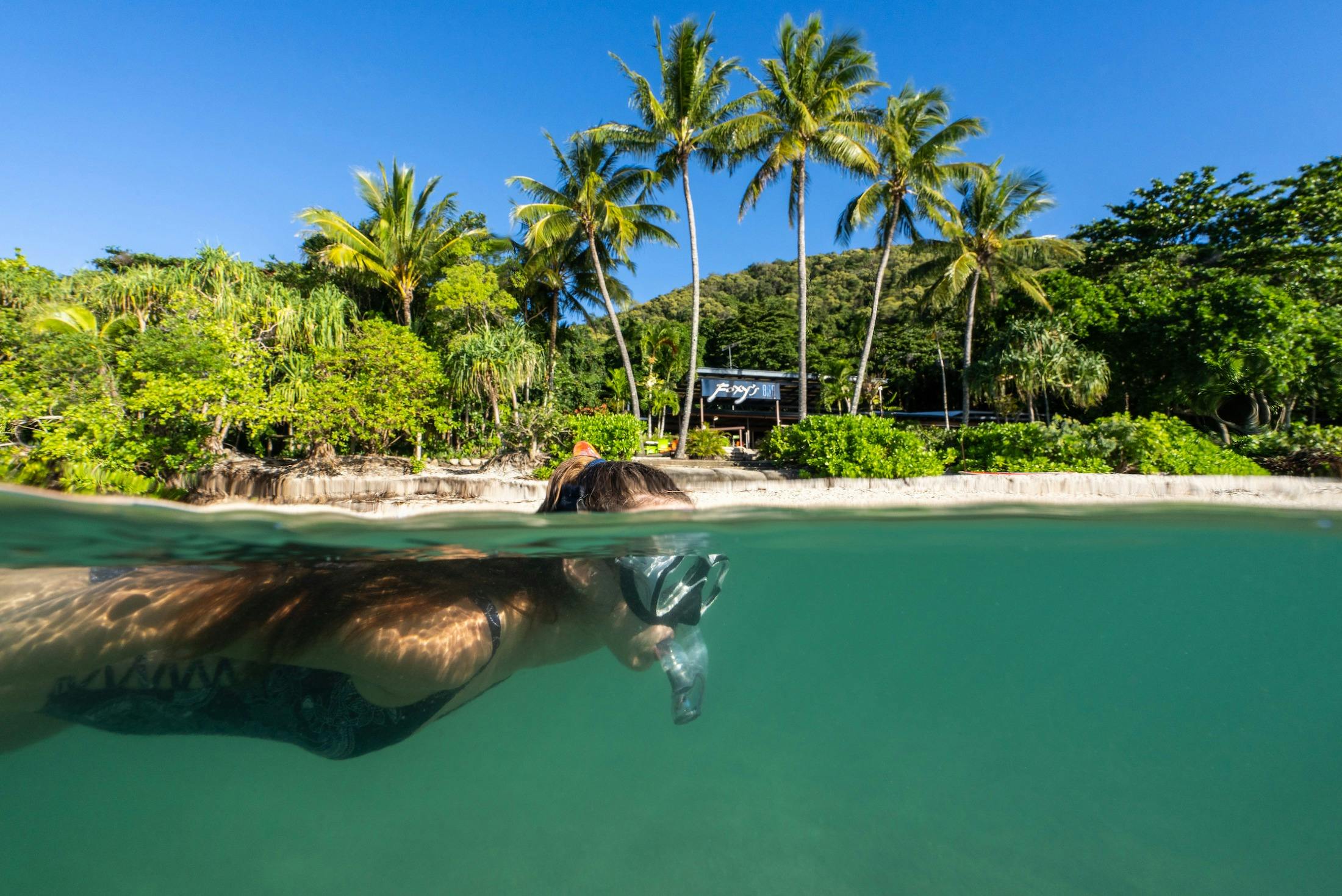 Intro Snorkel Adventure + Snorkel Safari