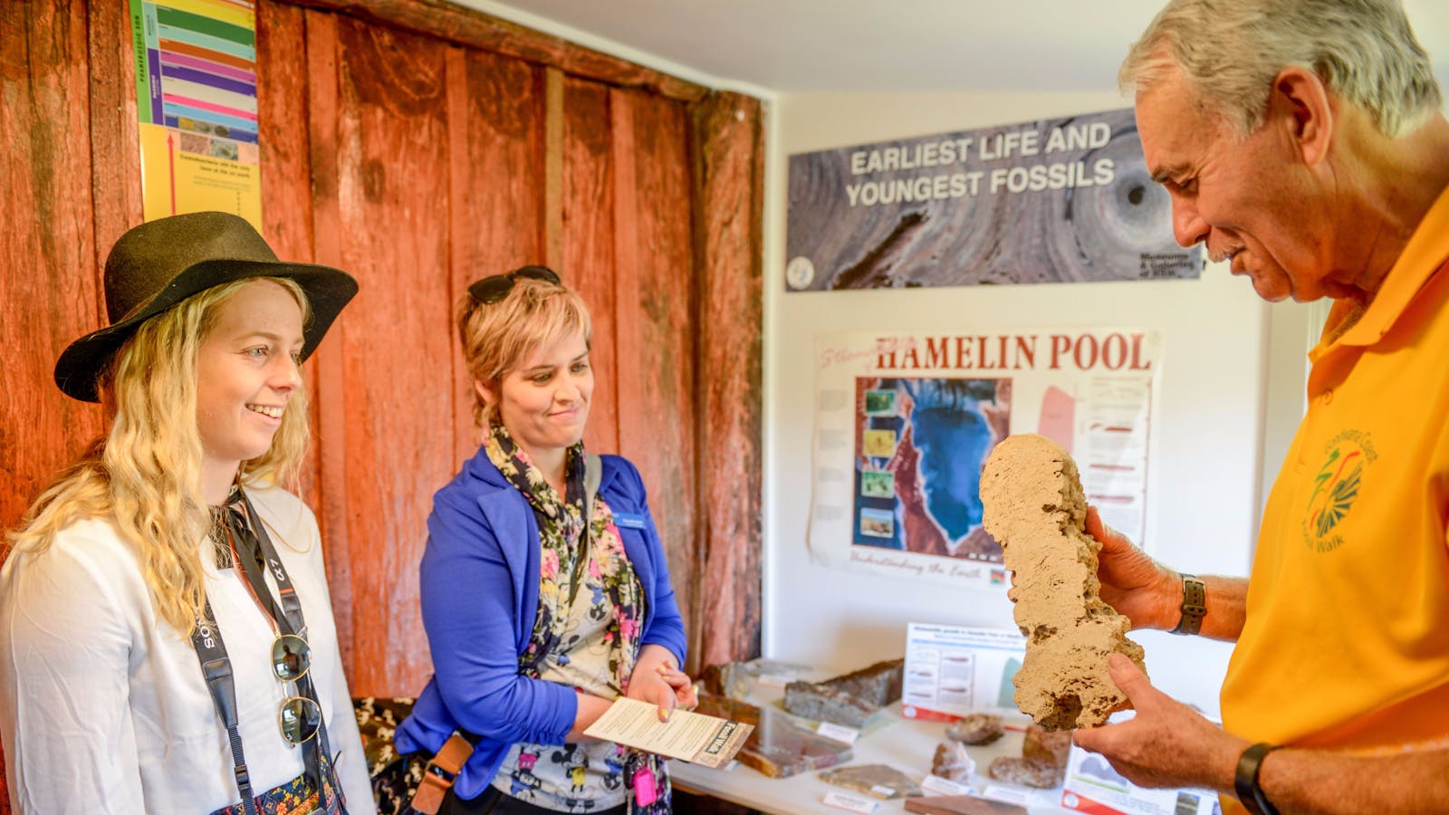Ulladulla Fossil House