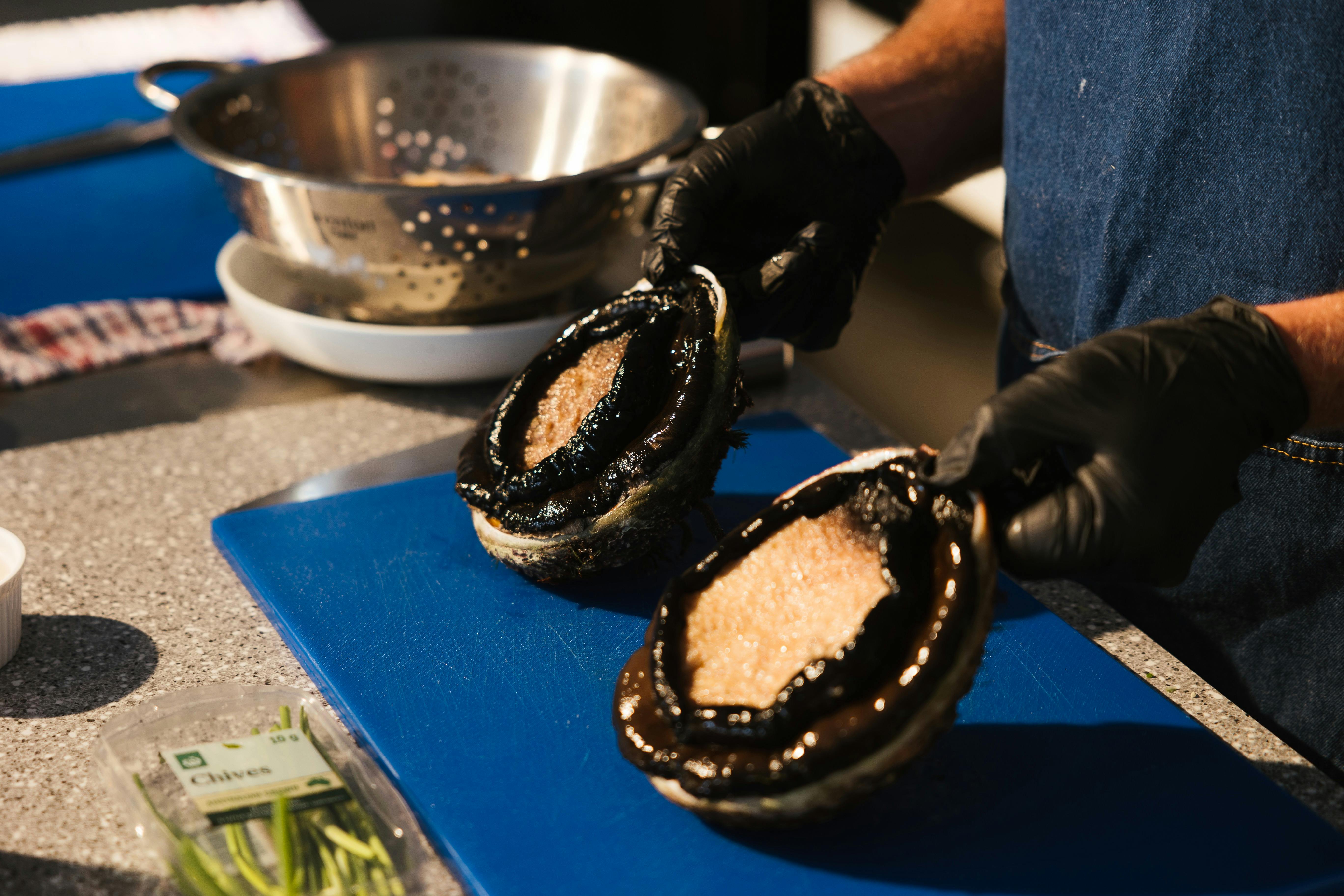 Two blacklip abalone are live and shells are being presented to show the meet