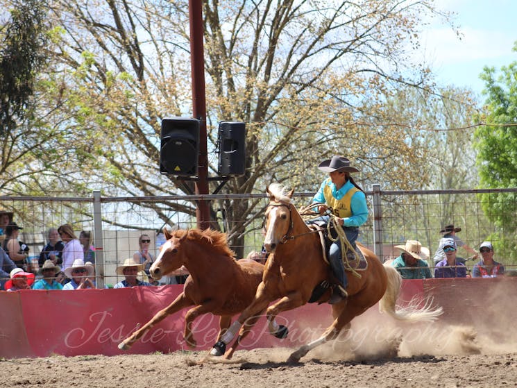 Battle on the Bidgee