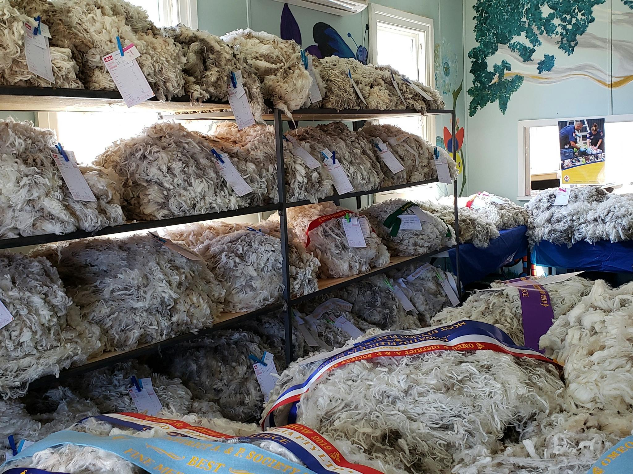 Fleeces to be baled for Helimed bale auction