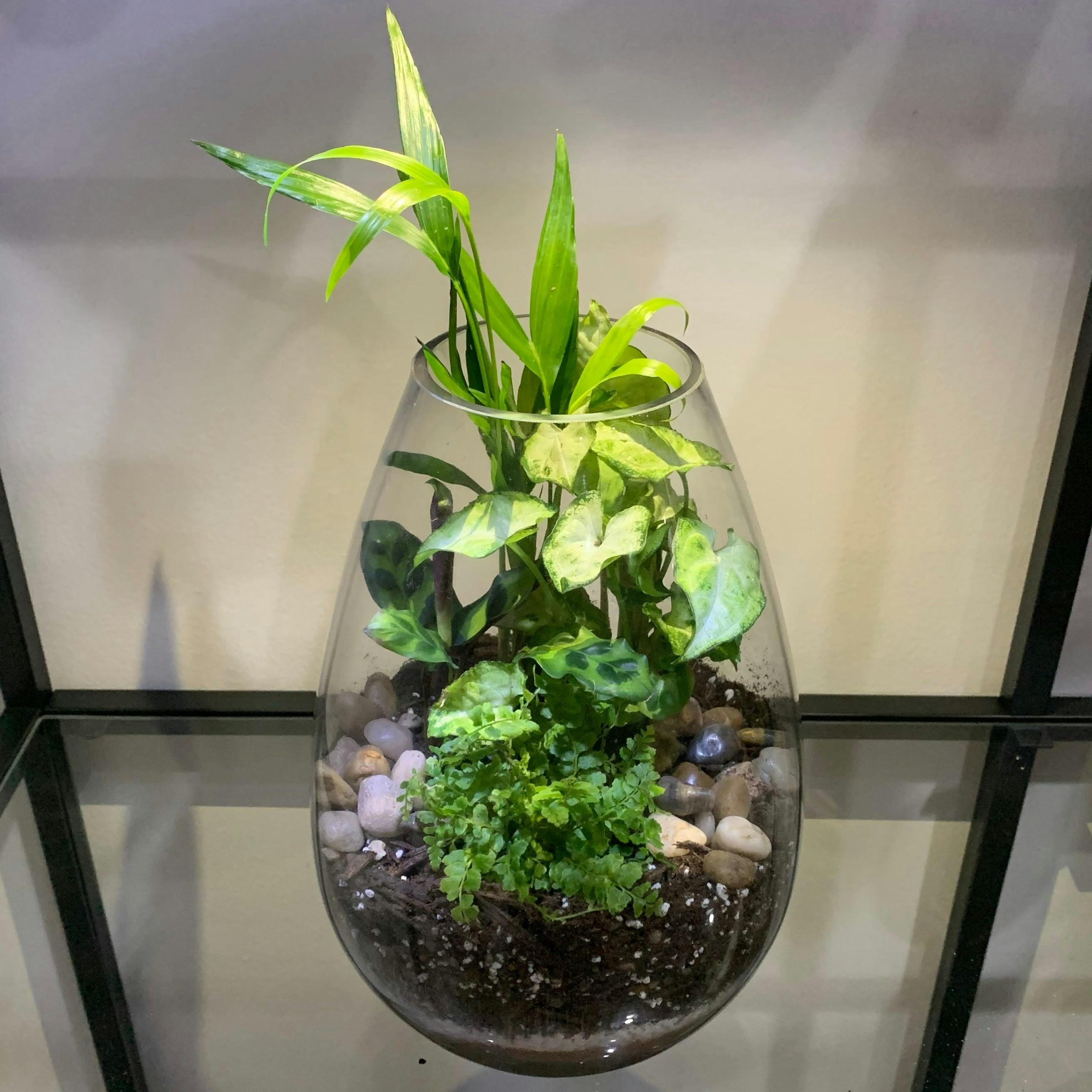 Plant Homewares & Lifestyle