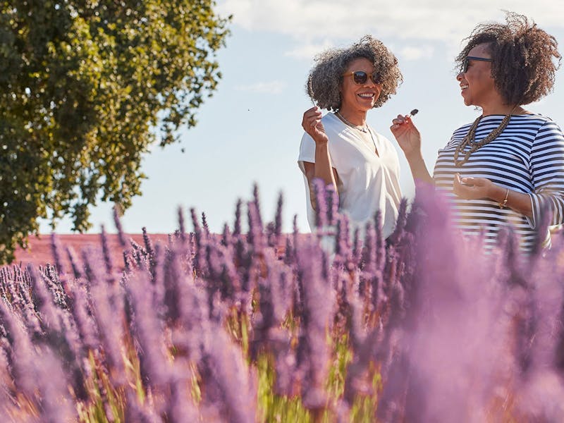Ladies Smelling Lavender at Bridestowe Estate