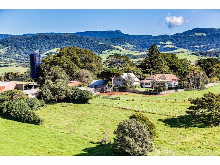 Buena Vista Farm Gerringong Visitnswcom - 