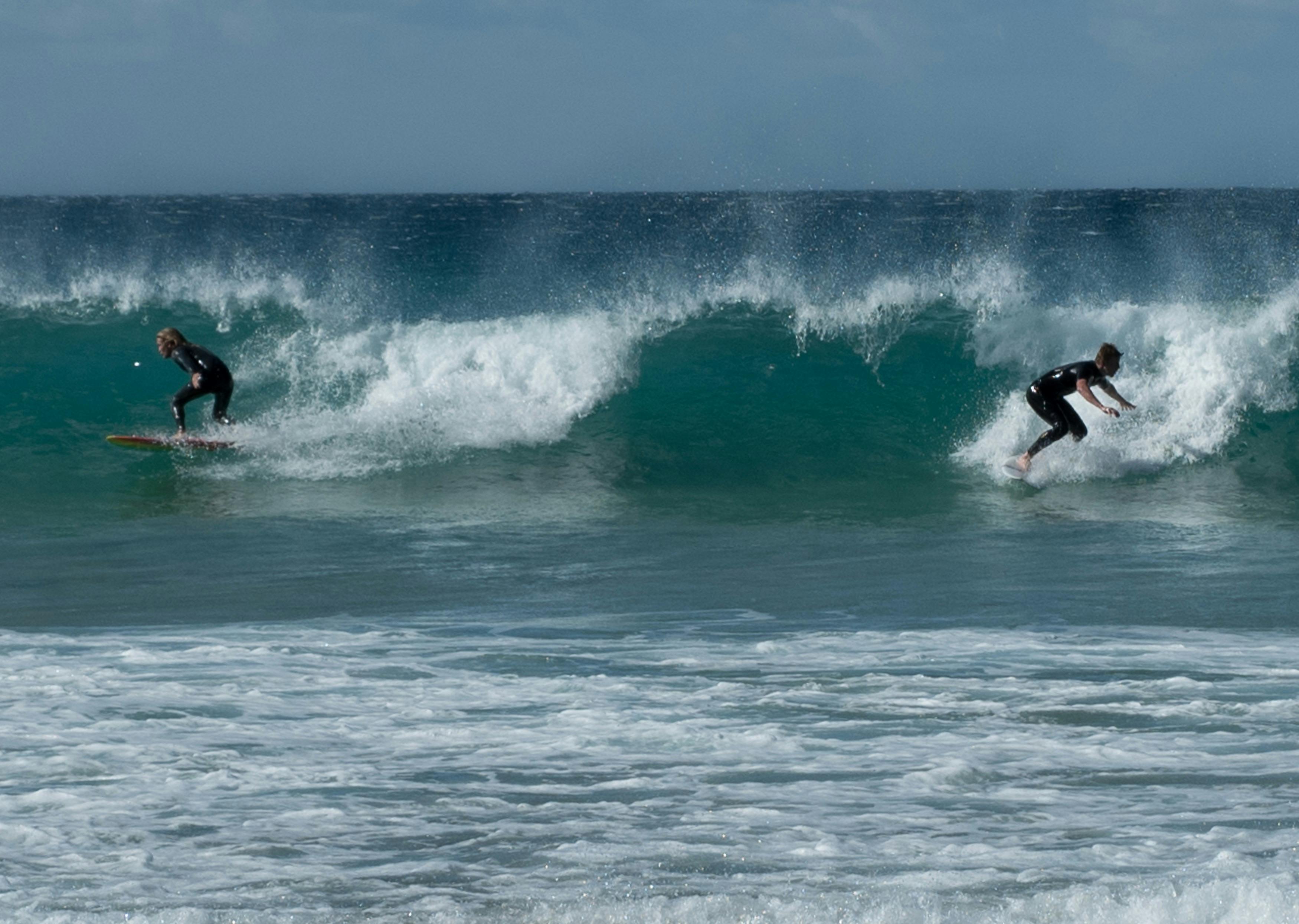 写真家と行くシドニーの美しい名所半日プライベートツアー