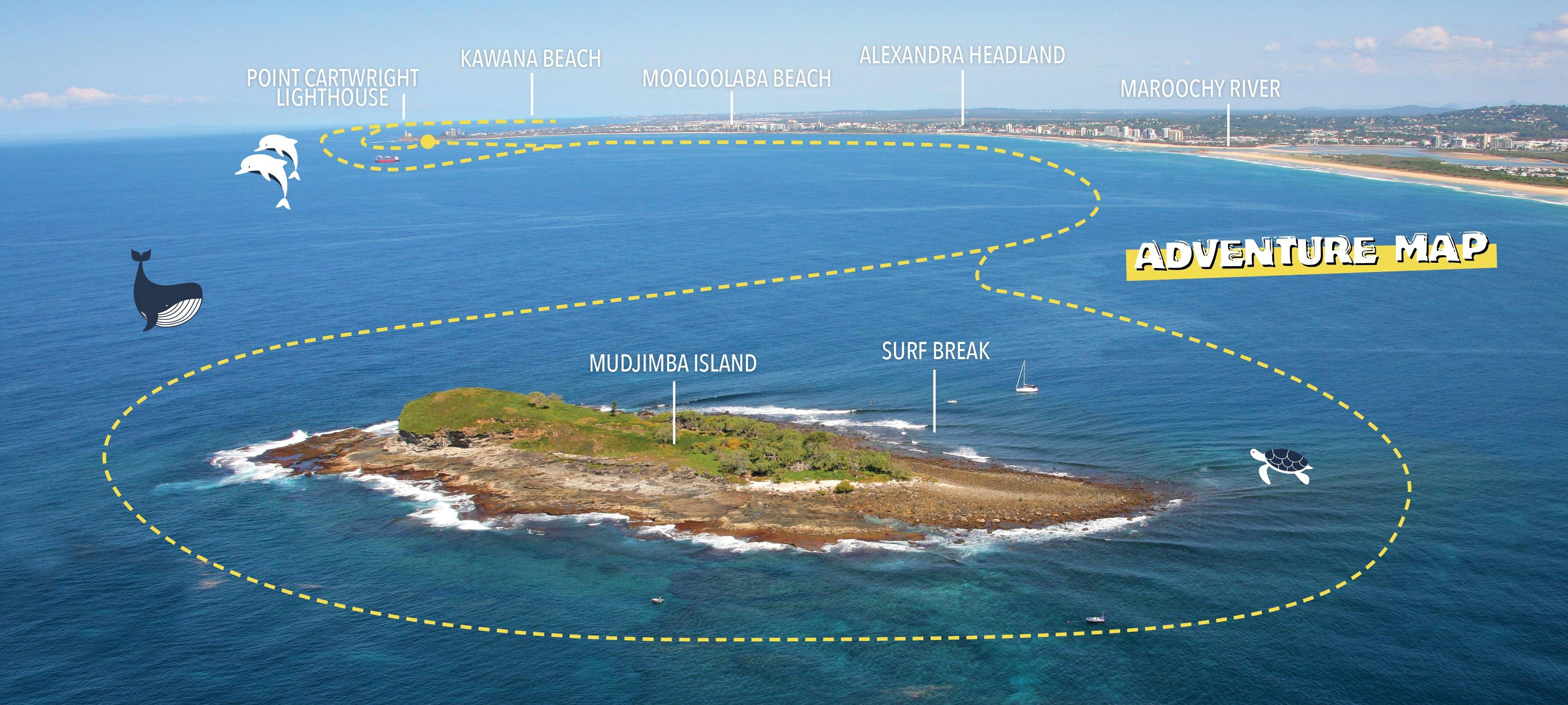 Mooloolaba Turtle Adventure