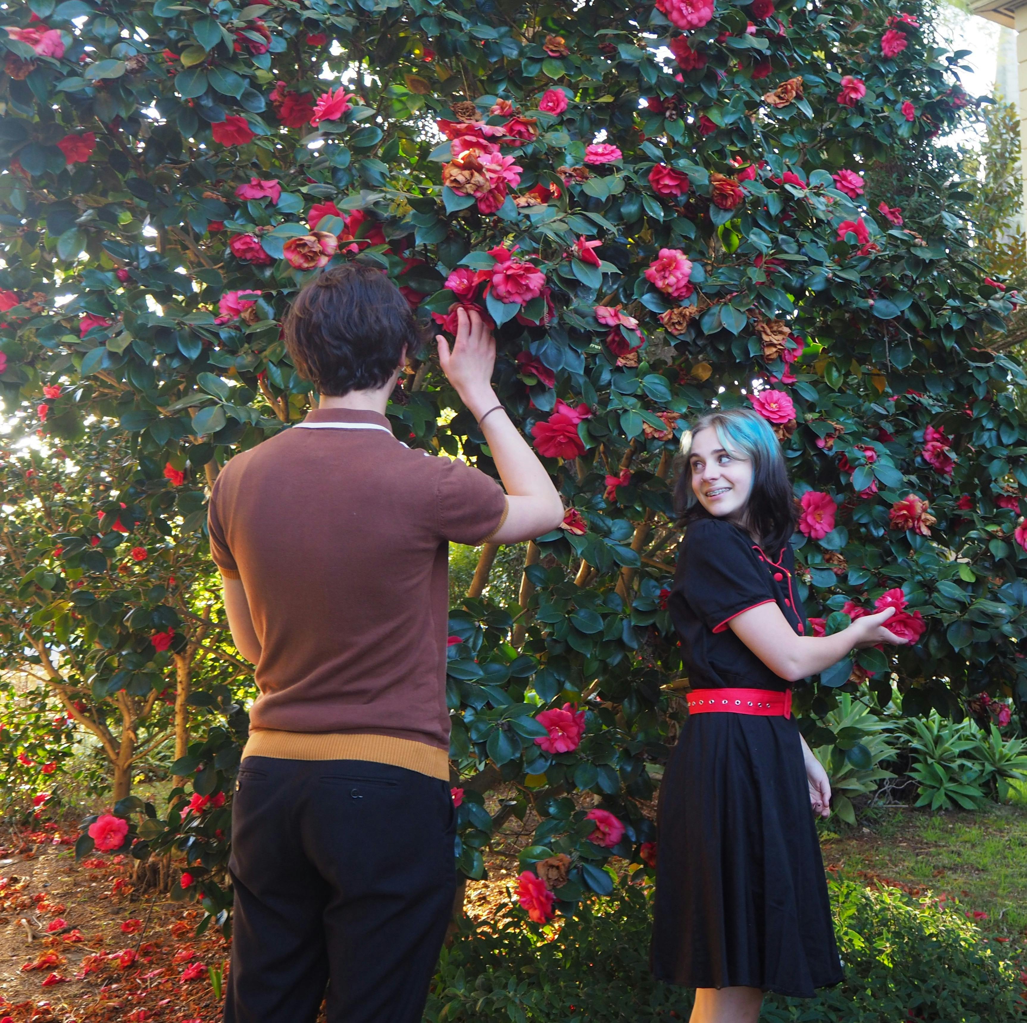 Distillation of Spring - Grossmann & Brough Houses