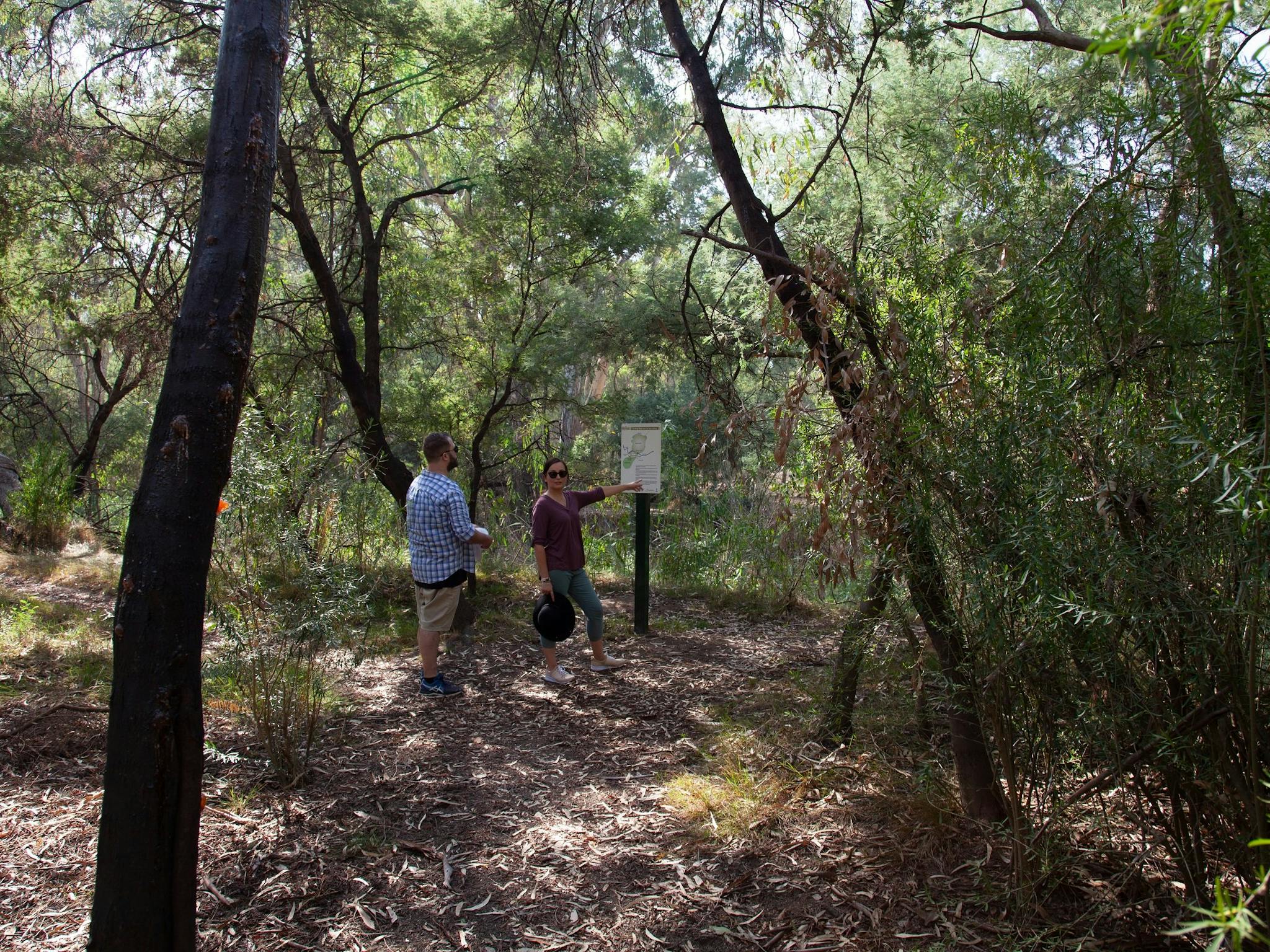 trees, leaves on ground, grasses, path, two people, one person pointing at sign