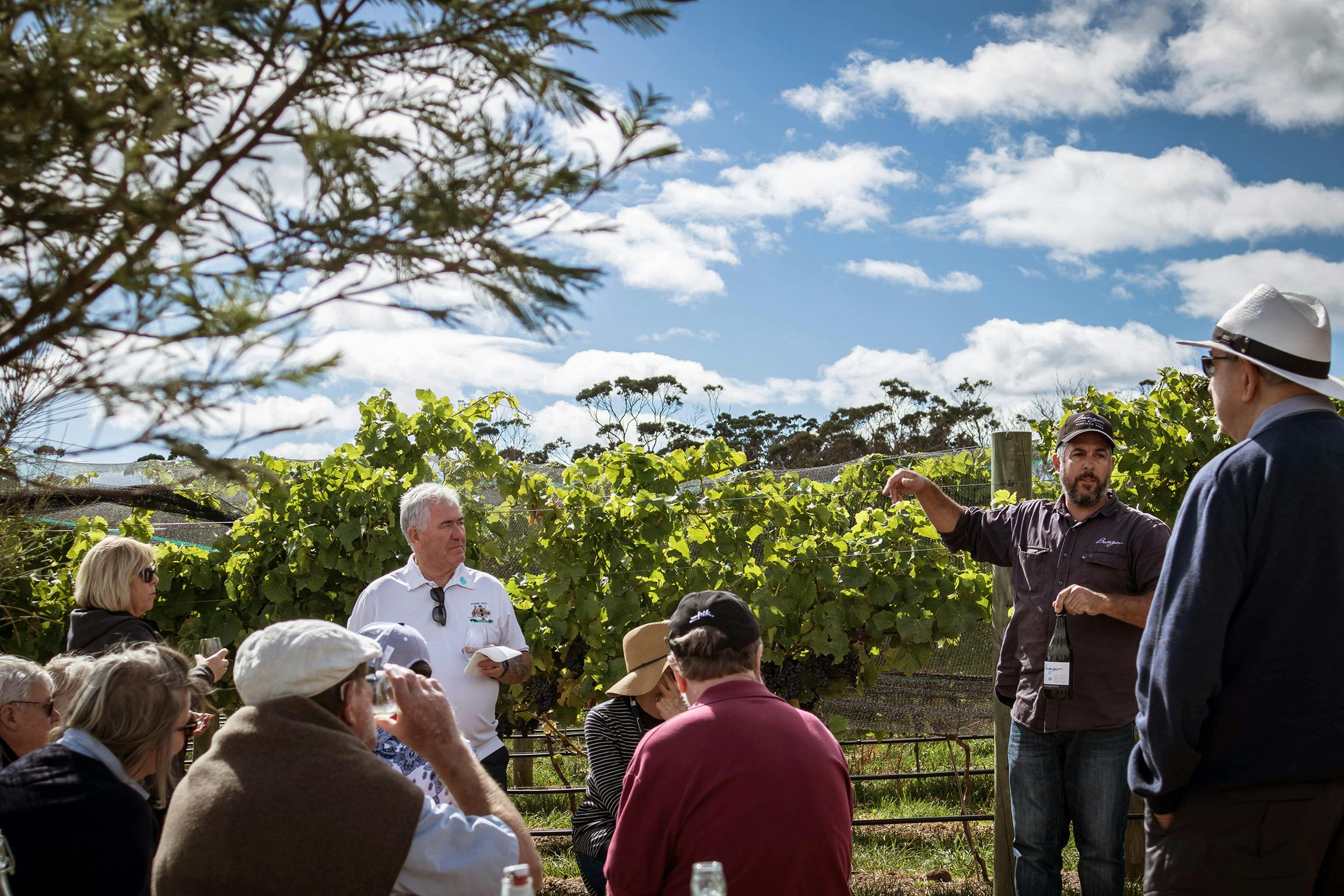 Bangor Wine Tasting in the vines tour Tasmania