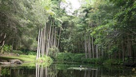 Toondoon Botanic Gardens