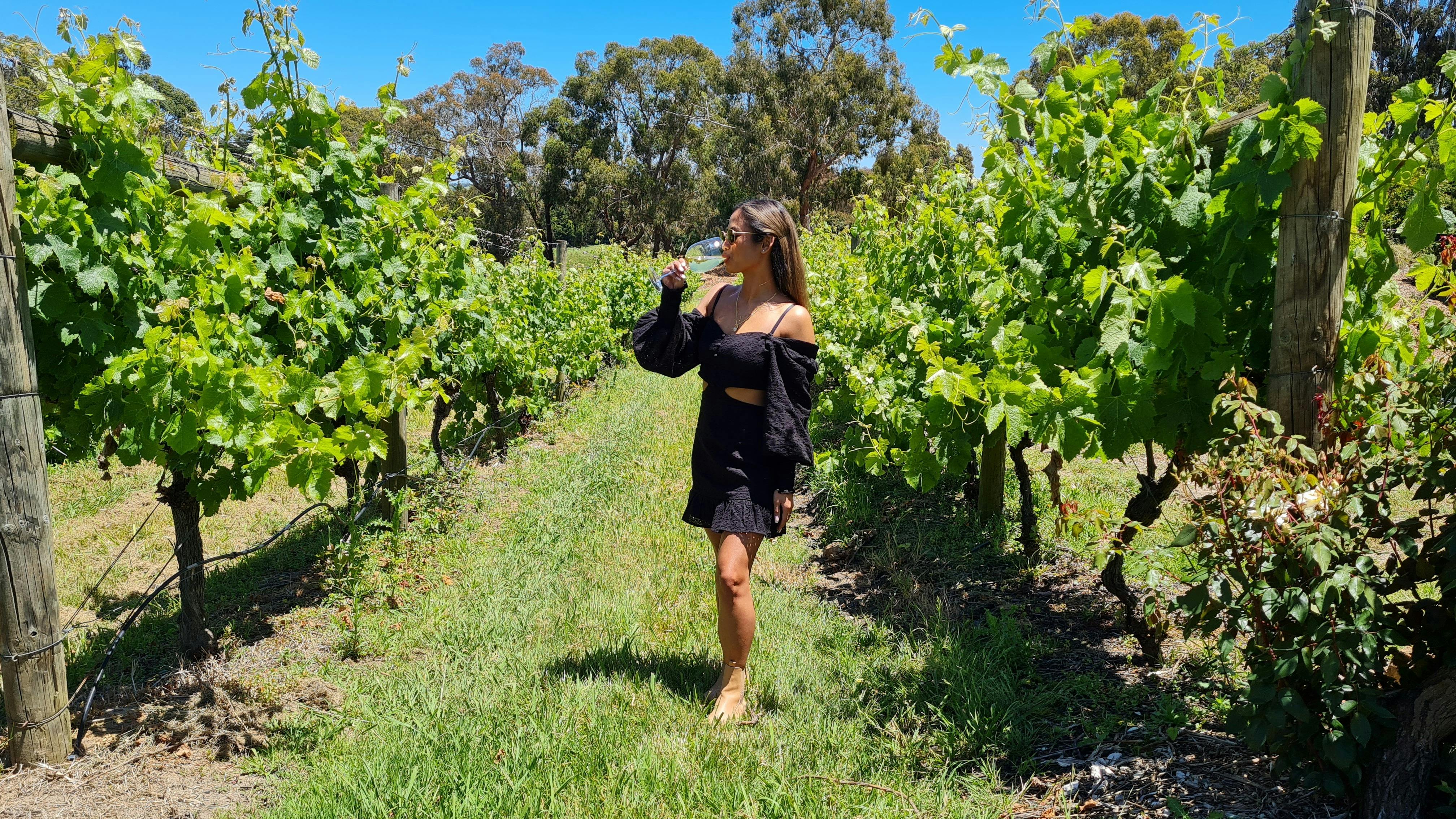 Lady tasting wine in a vineyard