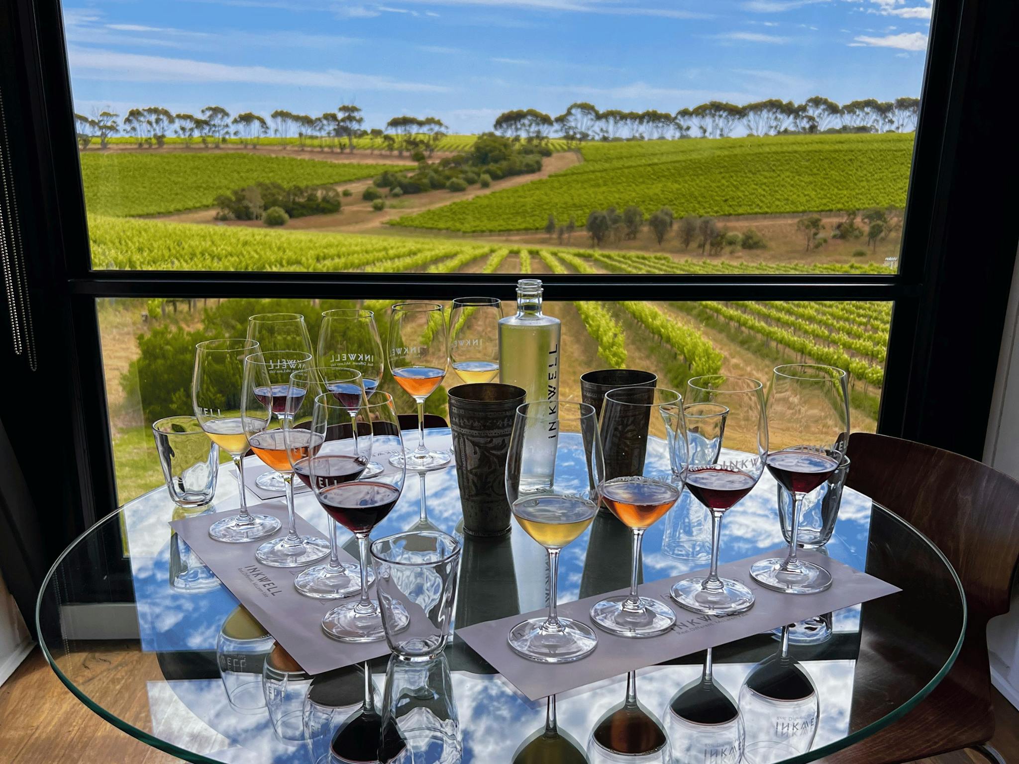 Wine tasting overlooking the vineyard