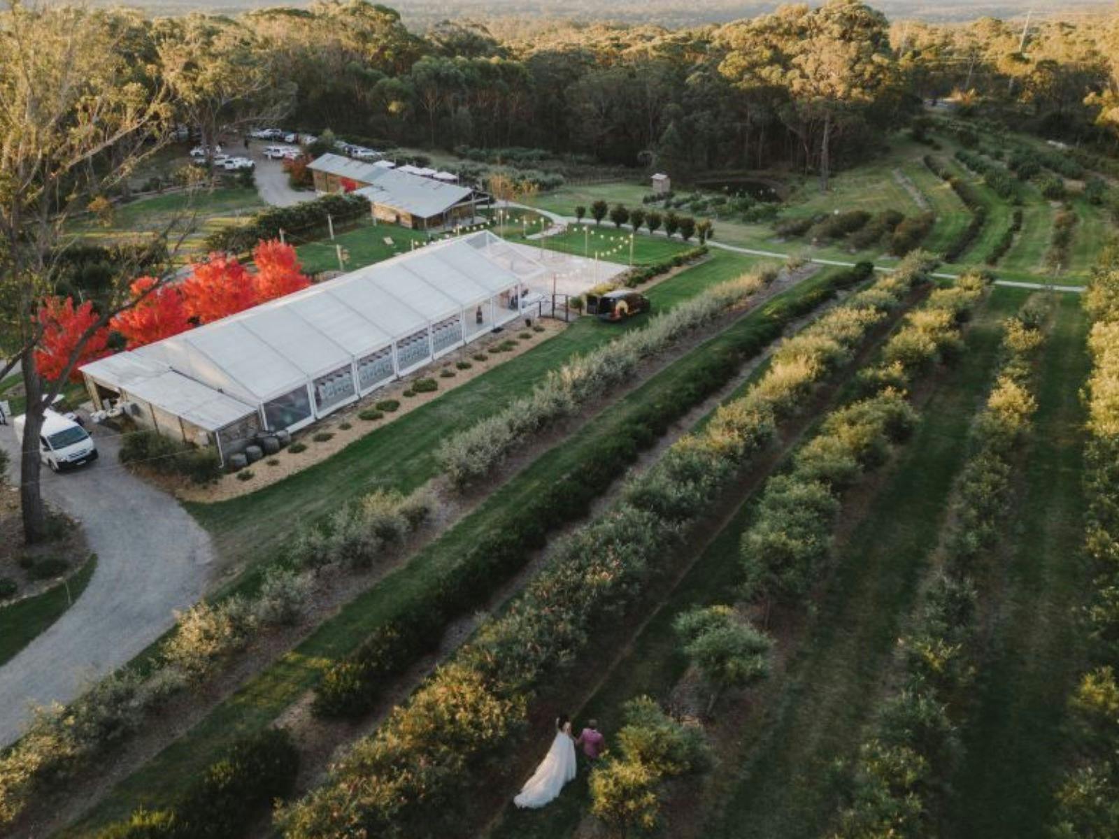 Growwild Wildflower Farm