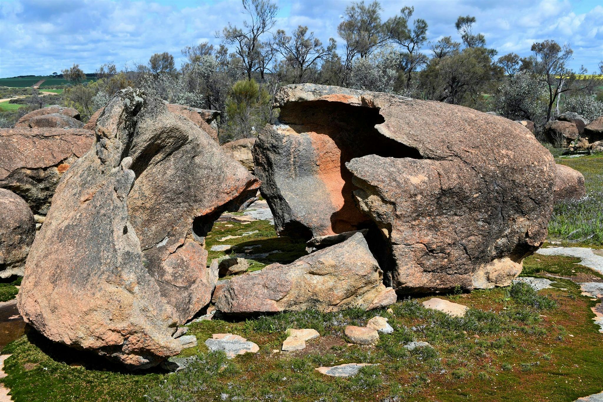 Gathercole Nature Reserve