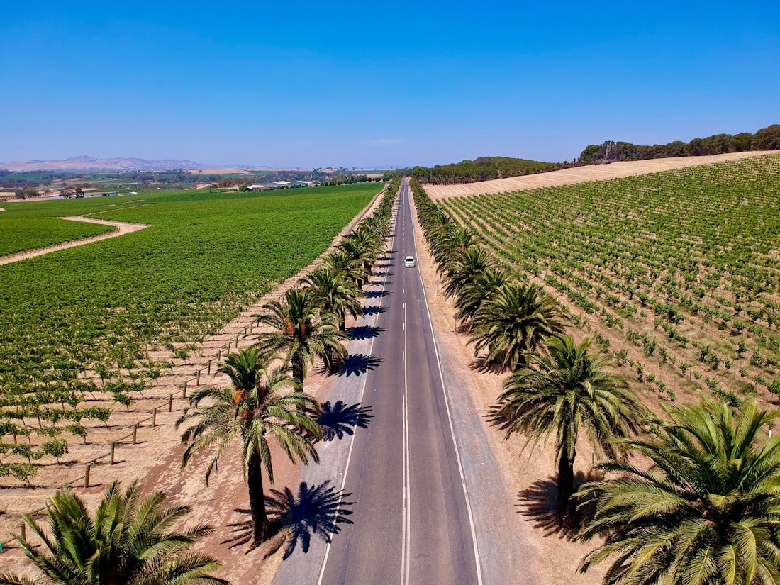 Cellar Door Tours Pty Ltd Adelaide Tour South Australia