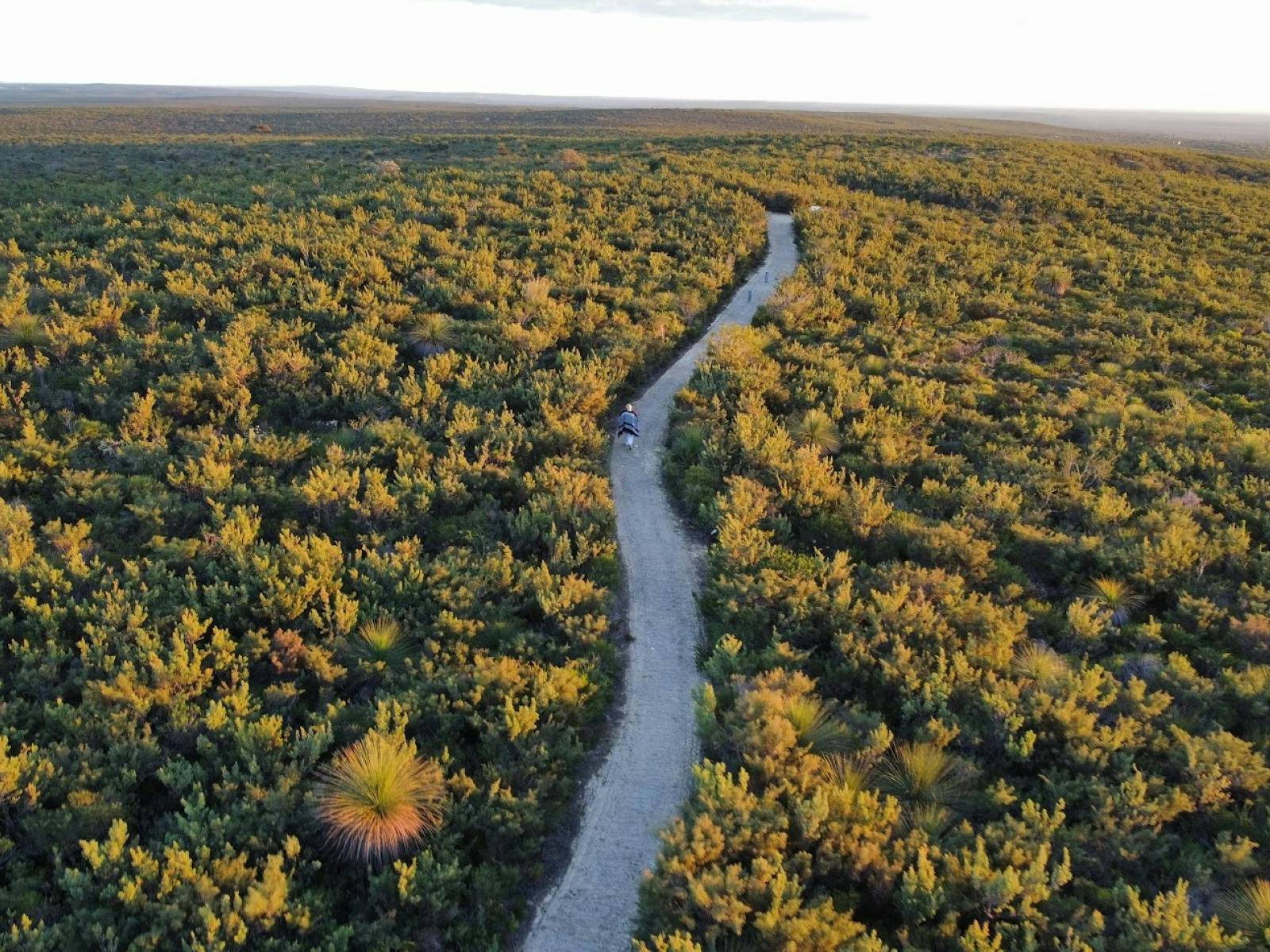 Nature reserve with a winding path at sunrise