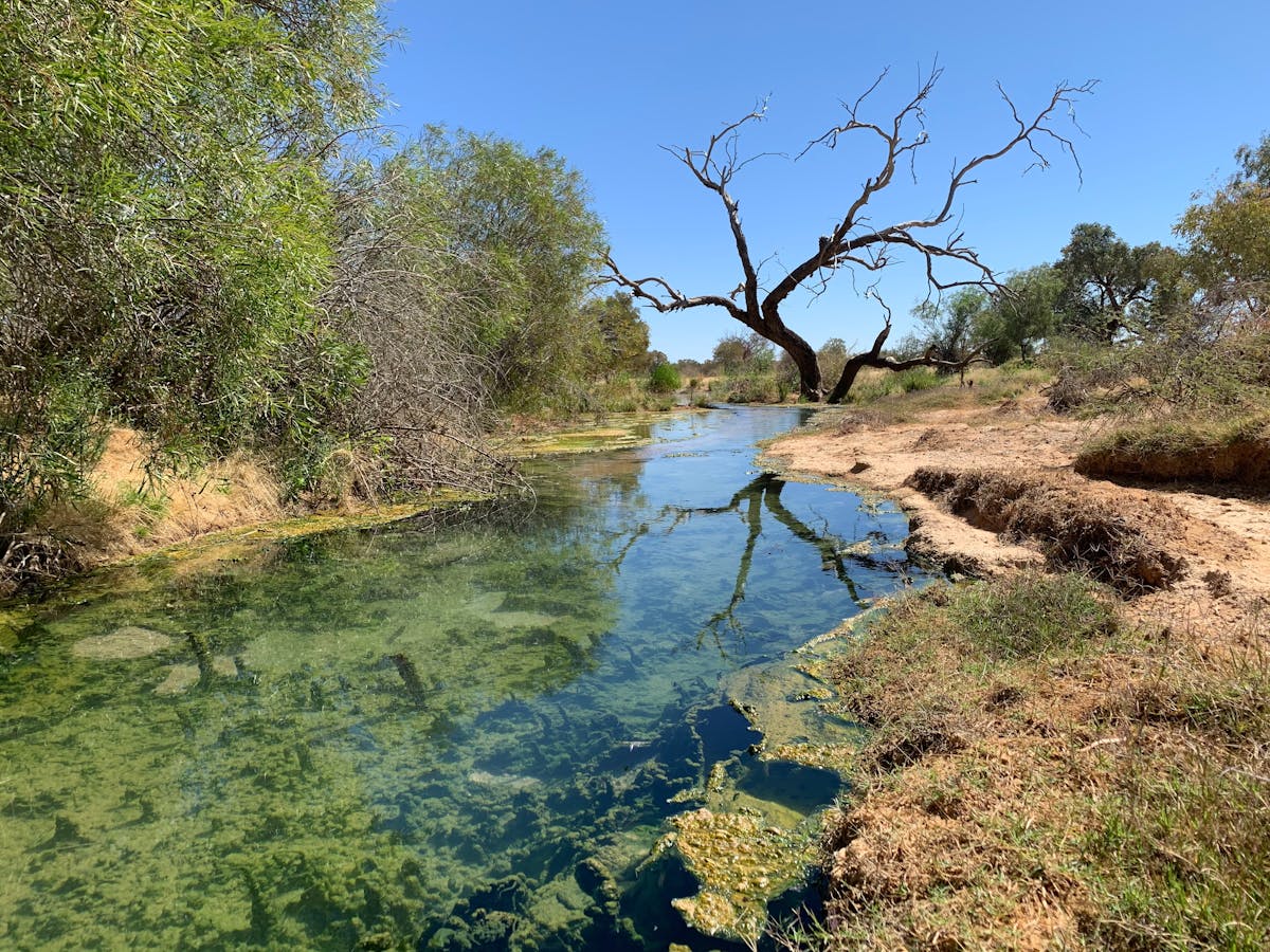 Carcory Bore Creek