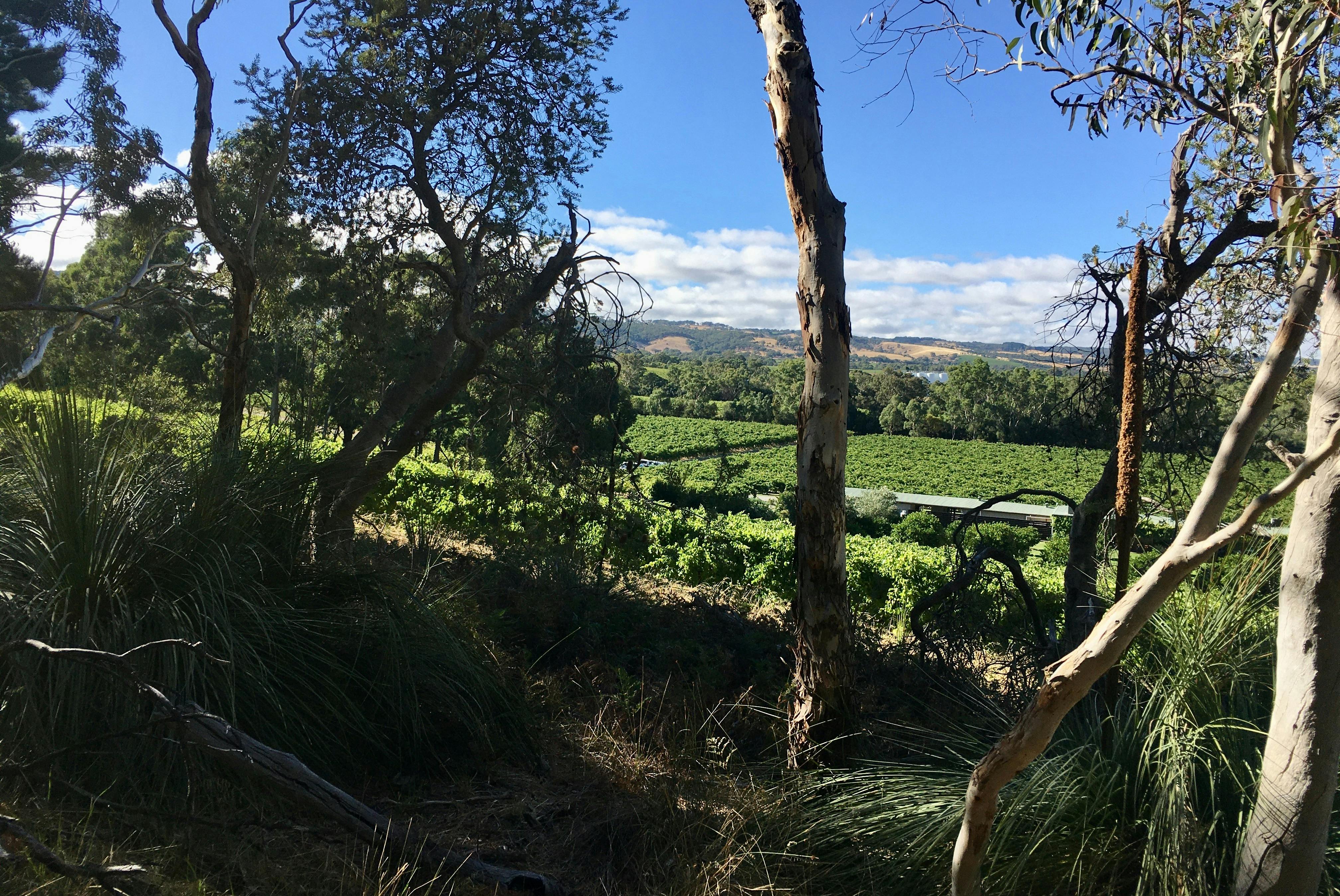 Views from the Karwatha Cottages Food & Wine Walking Trail