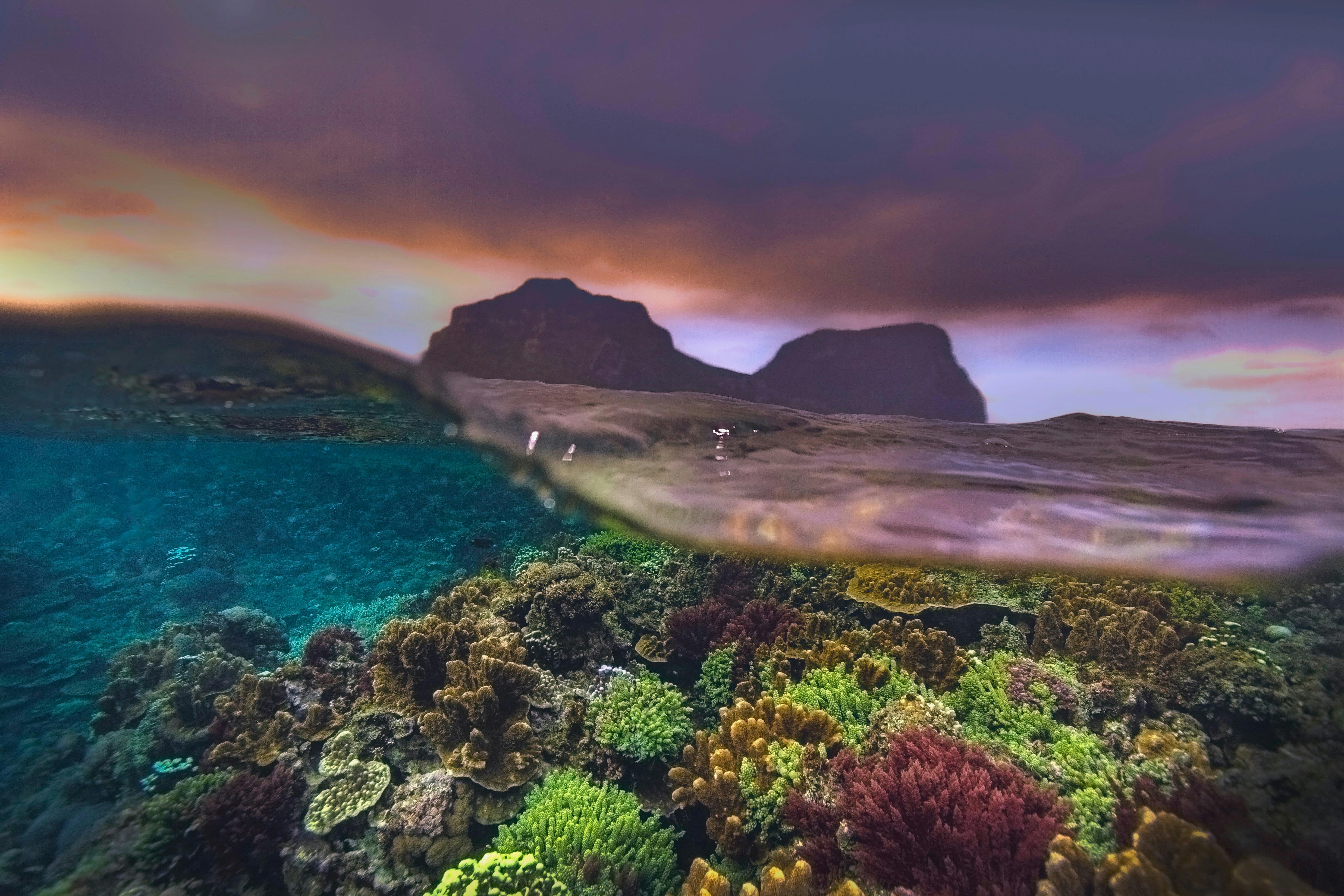 Split Shot on Lord Howe Island Lagoon