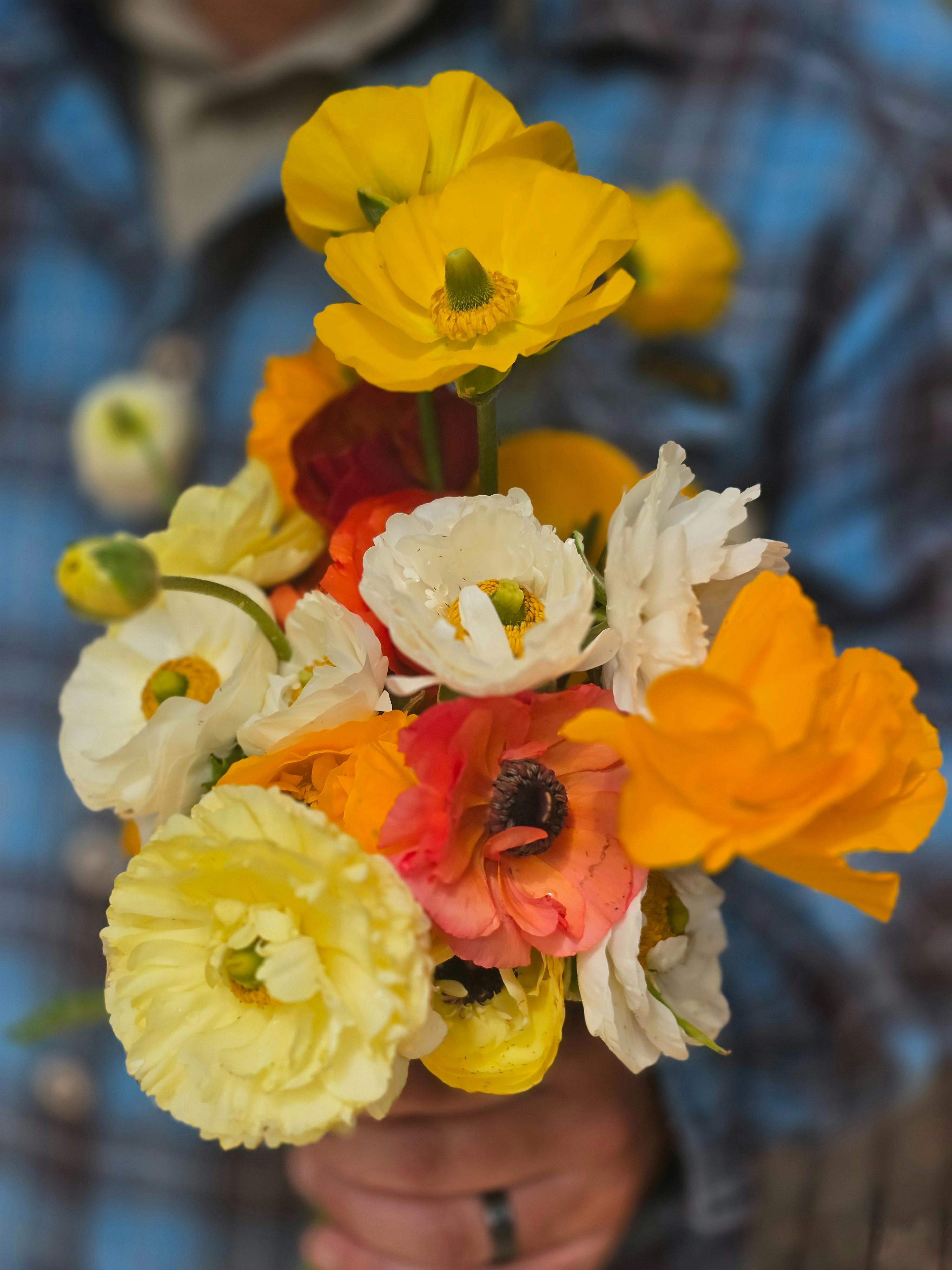 Flowers of Yewwood