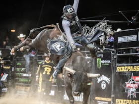 PBR Cairns Invitational