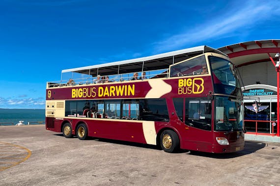 Big Bus Darwin