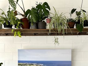 inside decor - live plants, good vibes