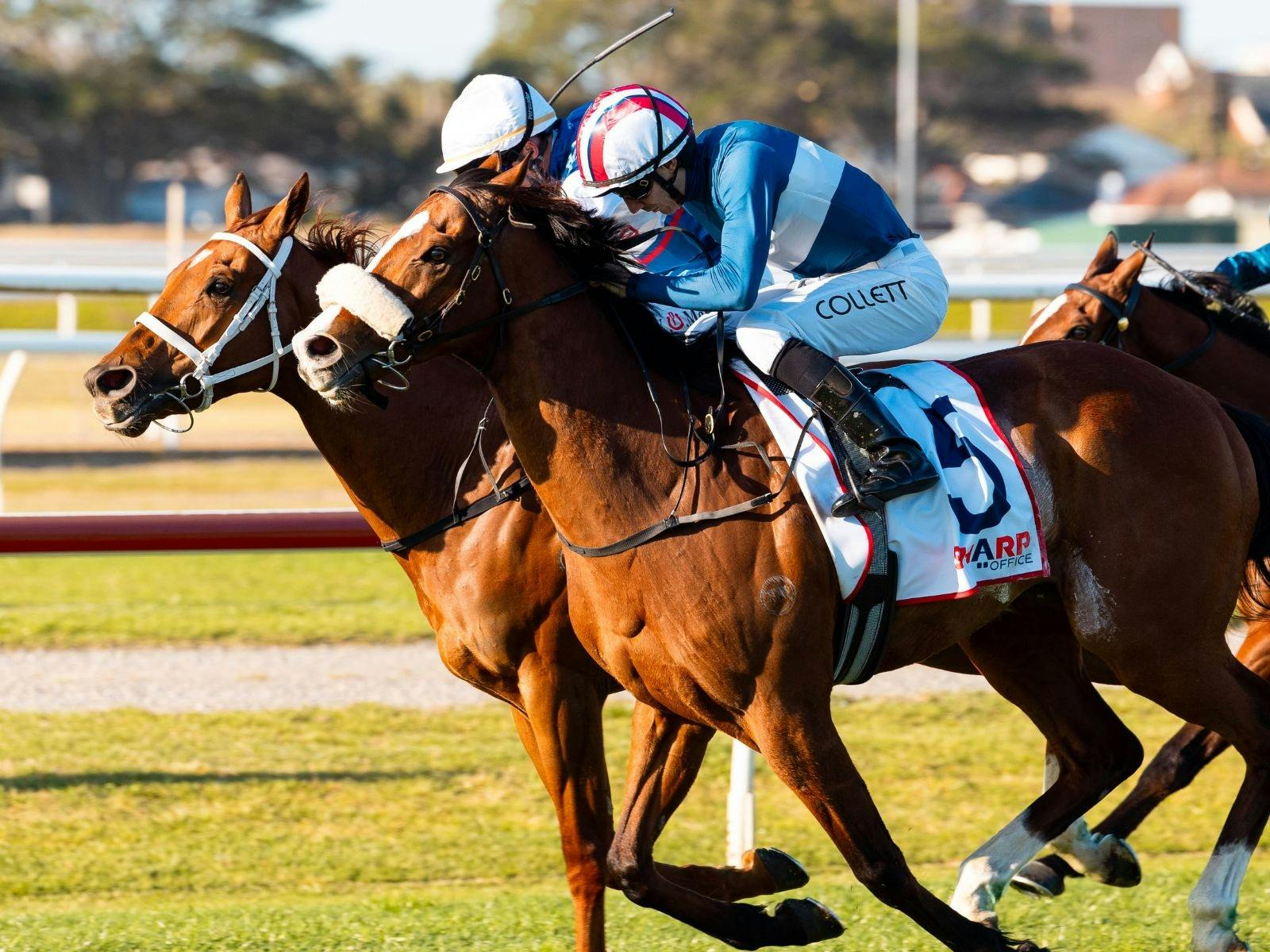 AHA Newcastle and Pitcher Partners Race Day