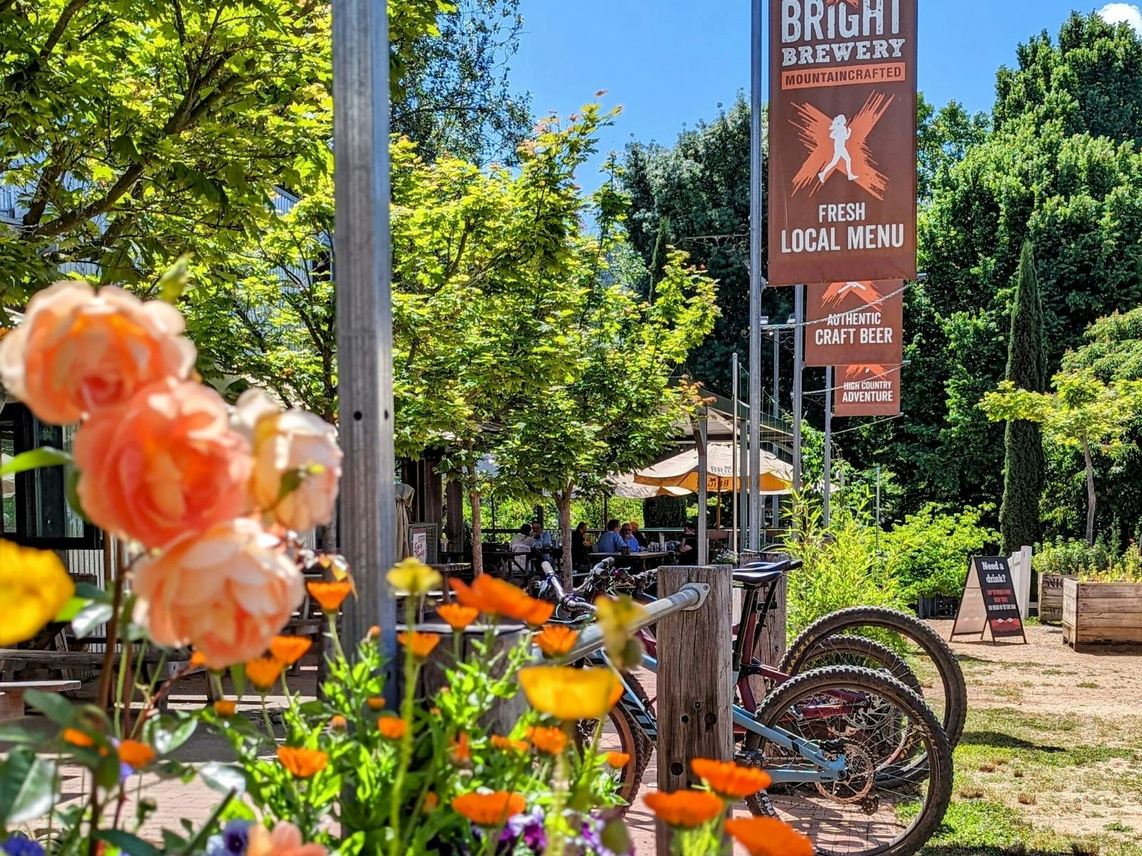 Bikes parked in amongst the spring setting of Bright Brewery.