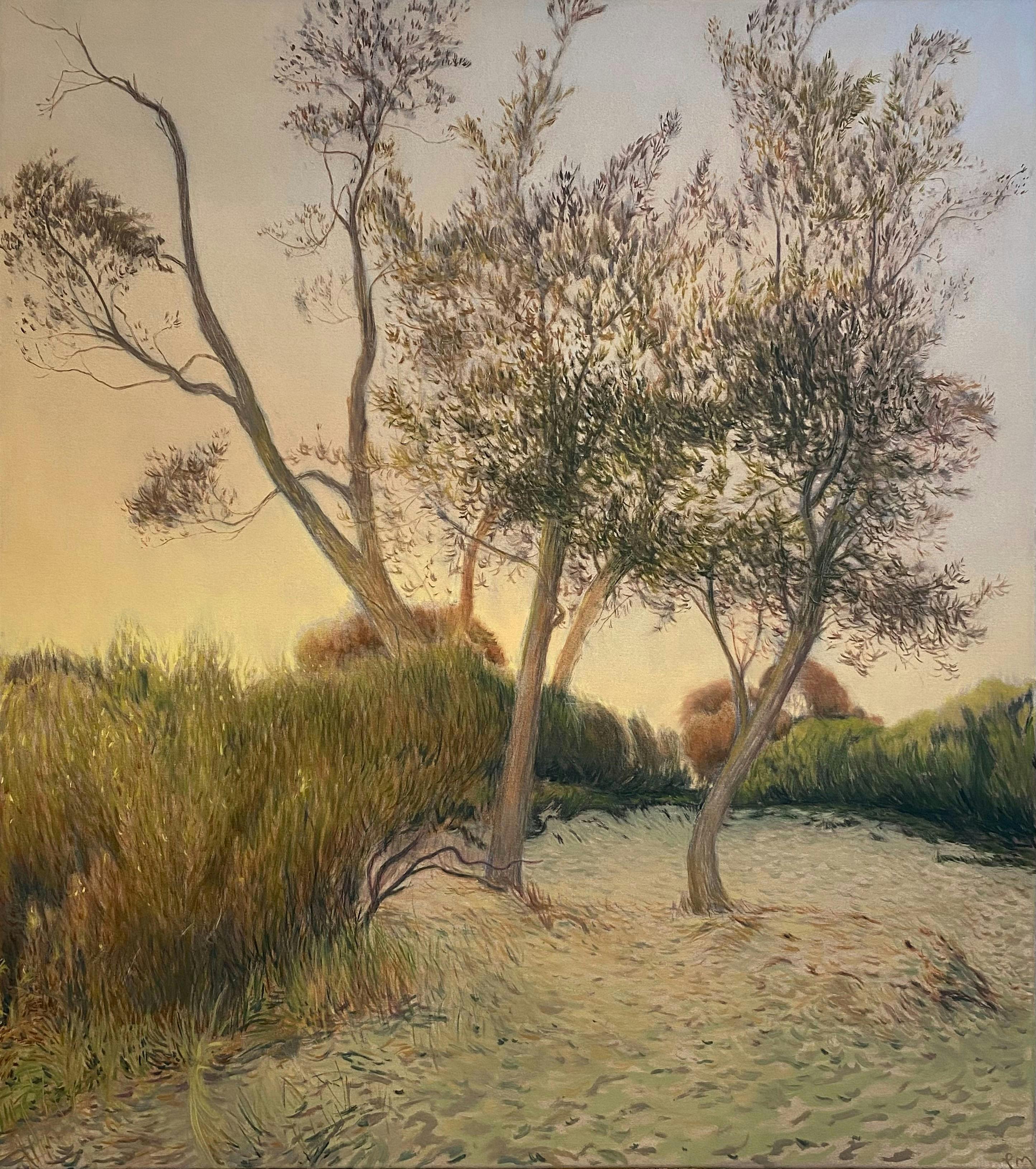 Paul McIntyre: Entwined